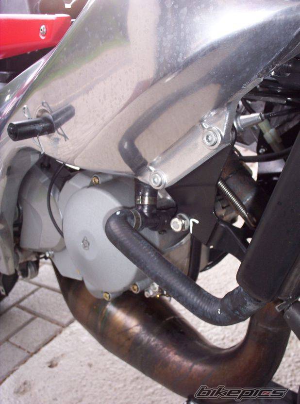 2002 APRILIA RS 125 | Picture 203250 motorcycle photo