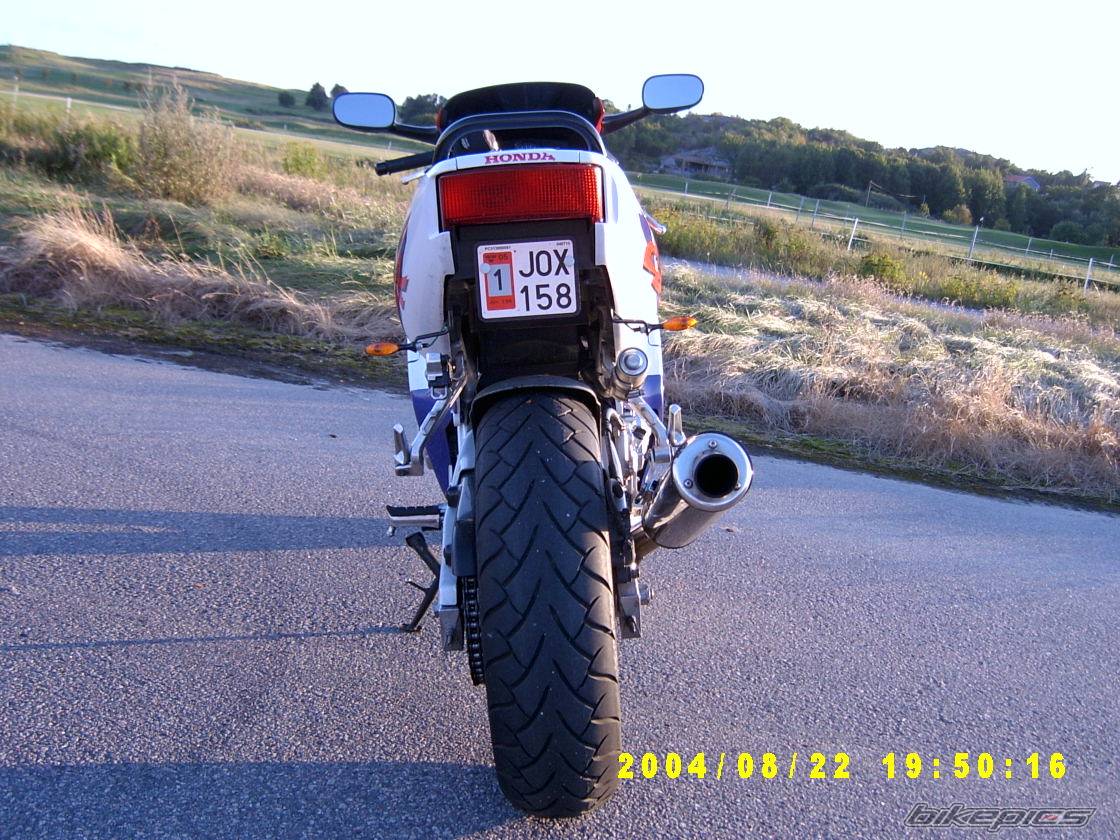 1995 HONDA CBR 600 | Picture 203306 motorcycle photo