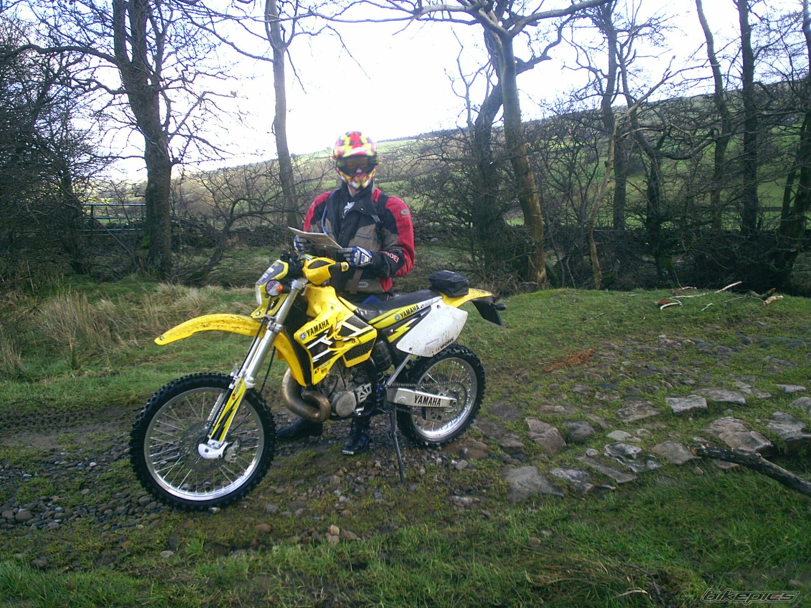2004 YAMAHA WR 250 | Picture 2033358 motorcycle photo
