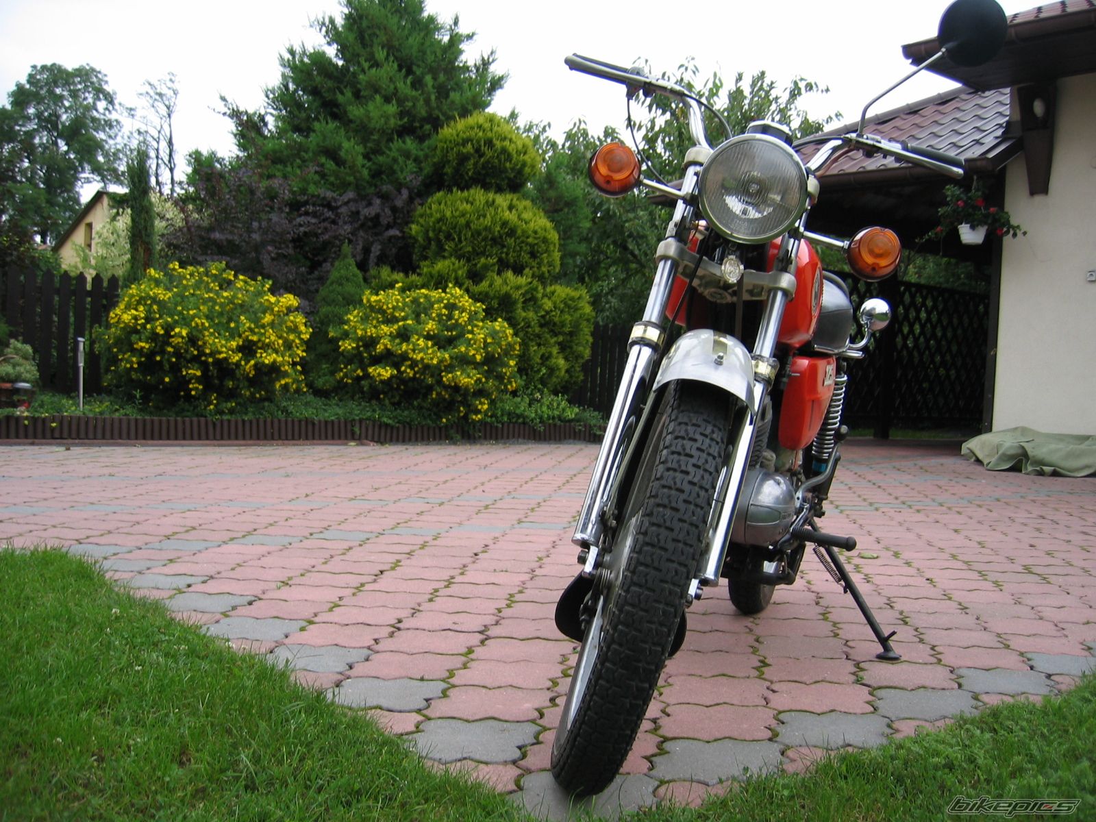 1997 WSK 125 | Picture 2033383 motorcycle photo