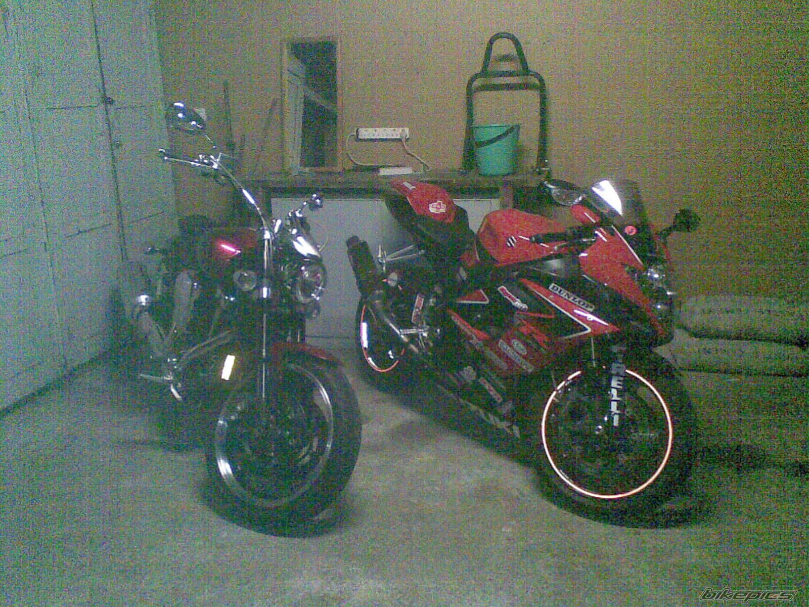 2006 SUZUKI GSX R 1000 | Picture 2033445 motorcycle photo