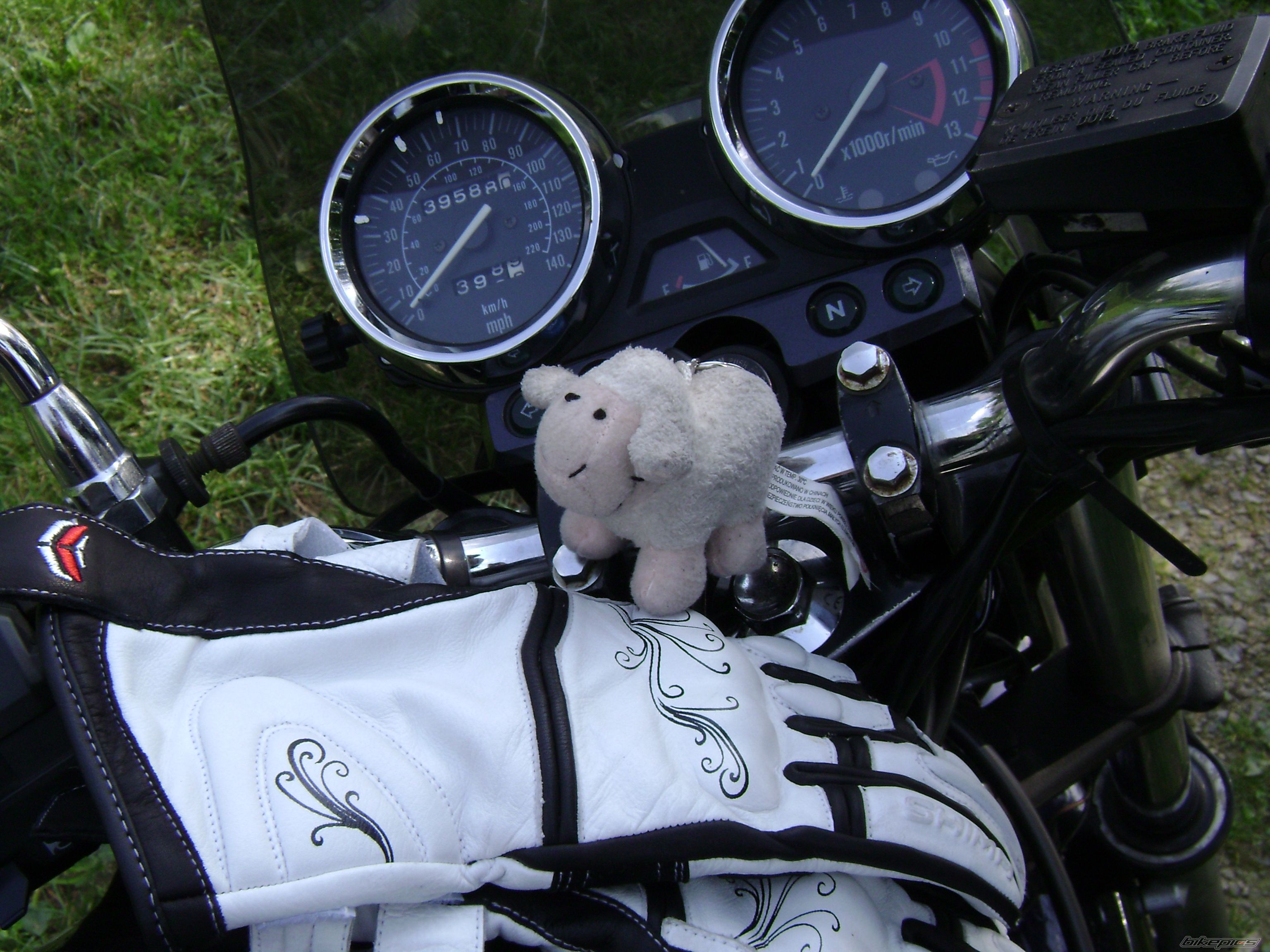    | Picture 2033658 motorcycle photo