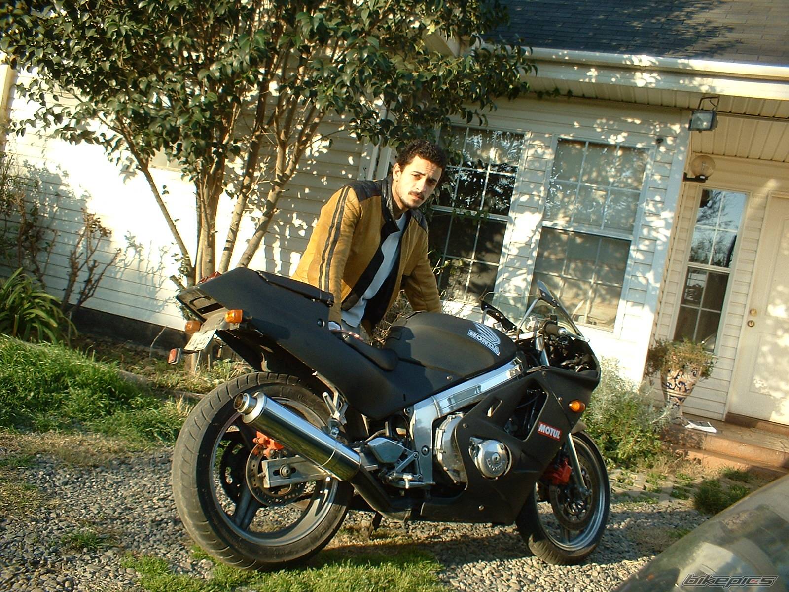 1989 HONDA CBR 250 | Picture 203476 motorcycle photo