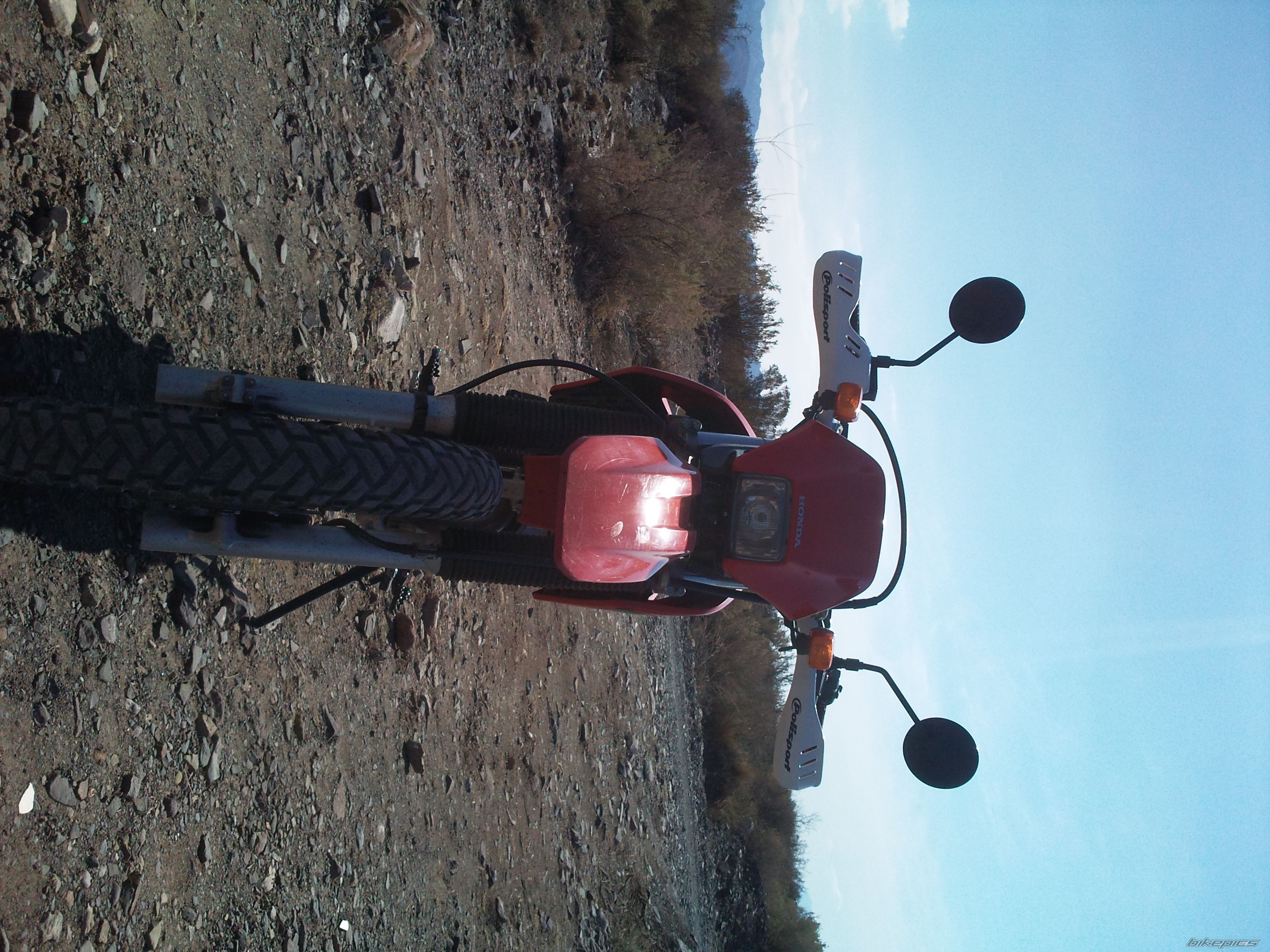 2005 HONDA XR 250 | Picture 2034887 motorcycle photo