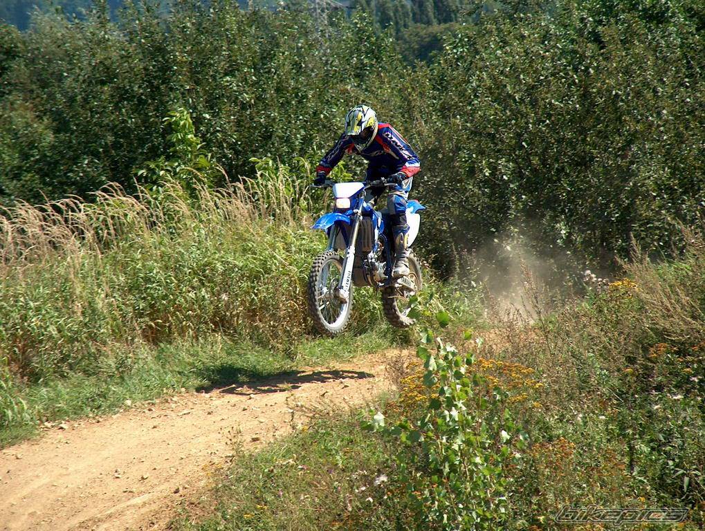 2004 YAMAHA WR 250F | Picture 203531 motorcycle photo