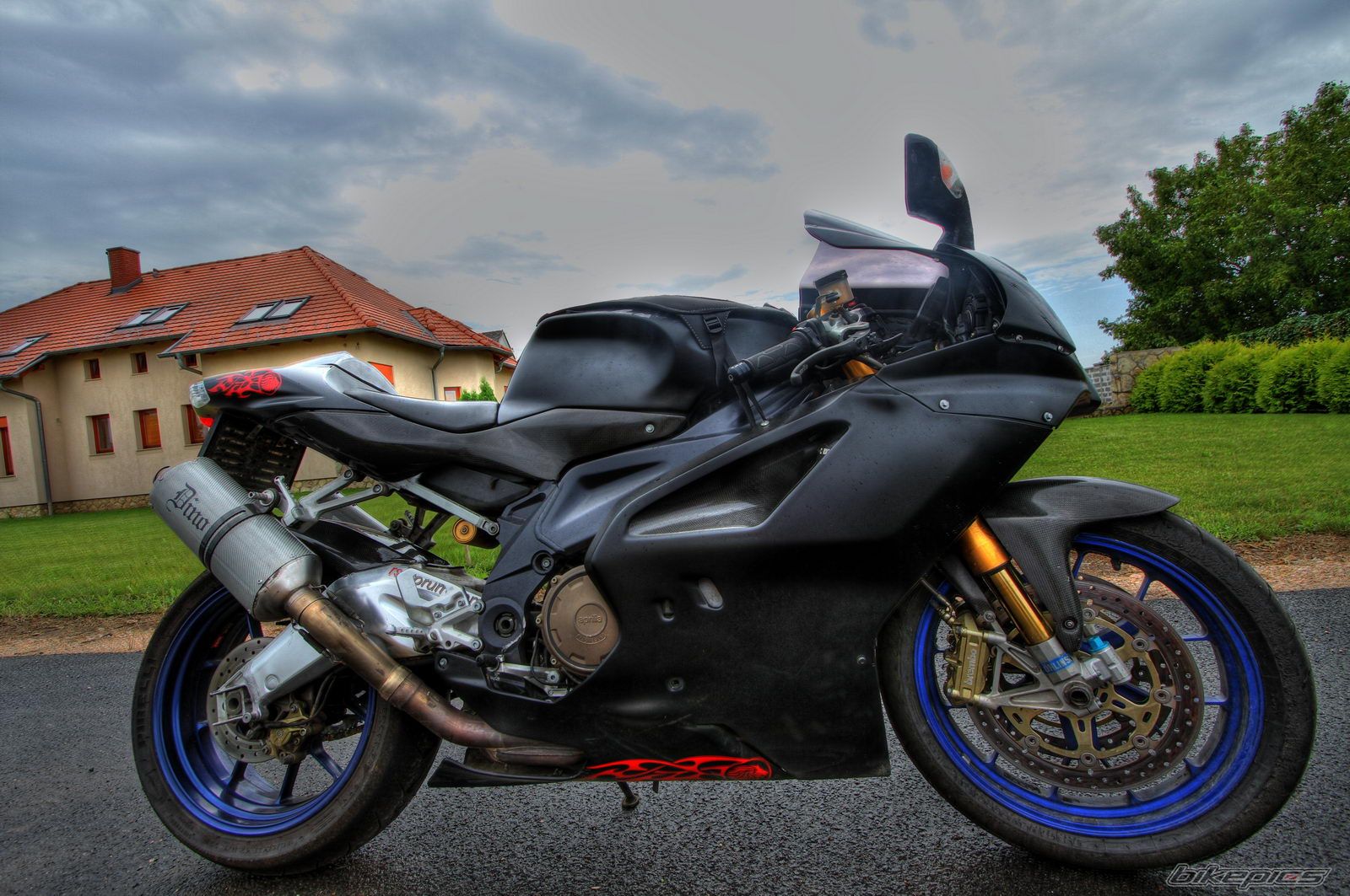 2004 APRILIA RSV MILLE FACTORY | Picture 2035331 motorcycle photo