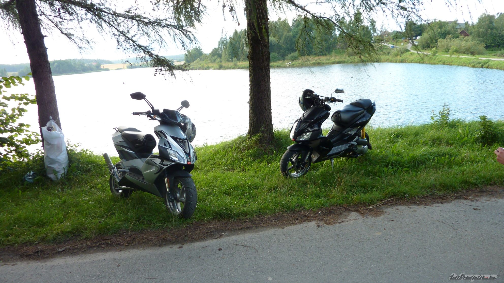 2008 APRILIA SR 50 | Picture 2035605 motorcycle photo