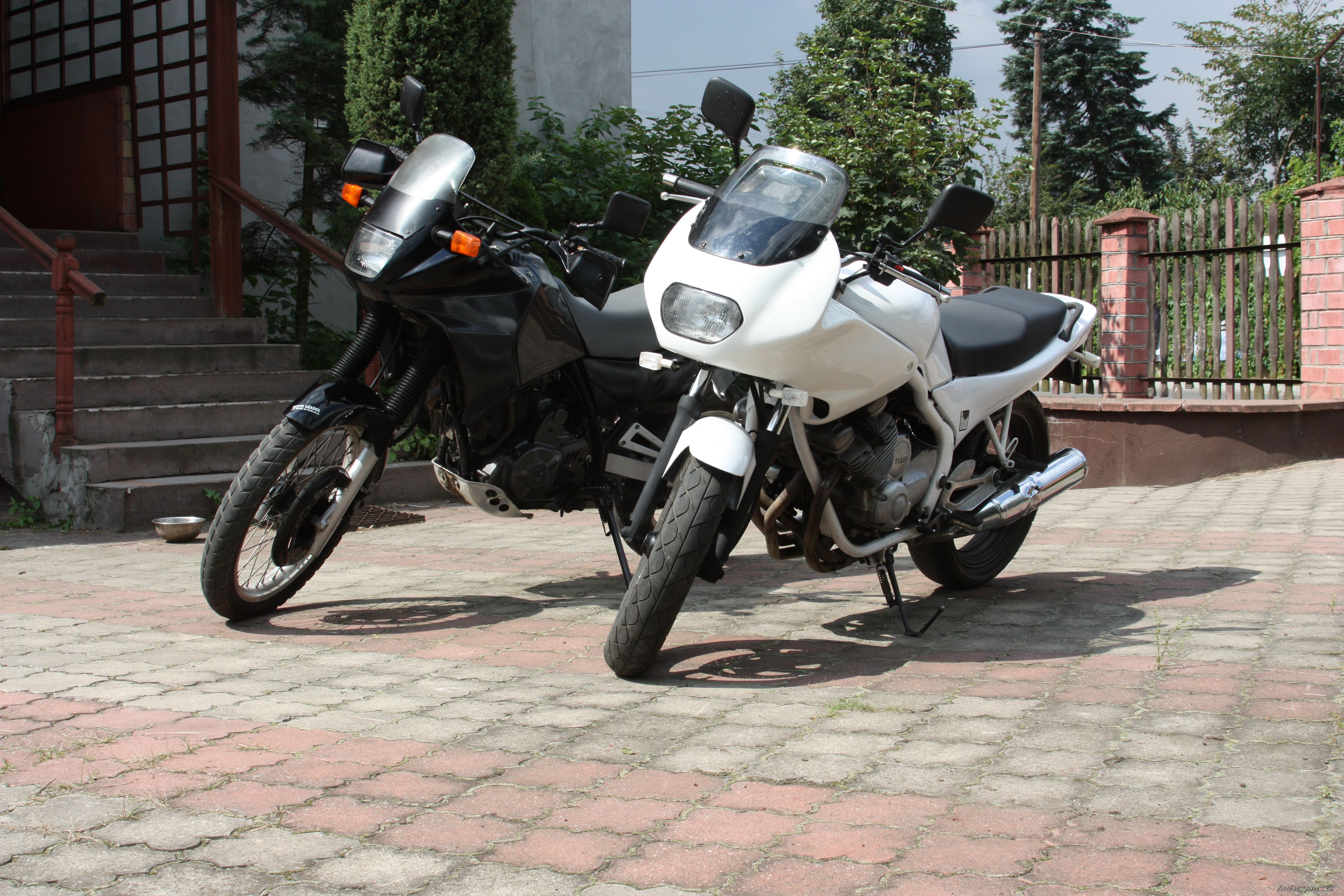 1996 YAMAHA XJ 600 | Picture 2036216 motorcycle photo