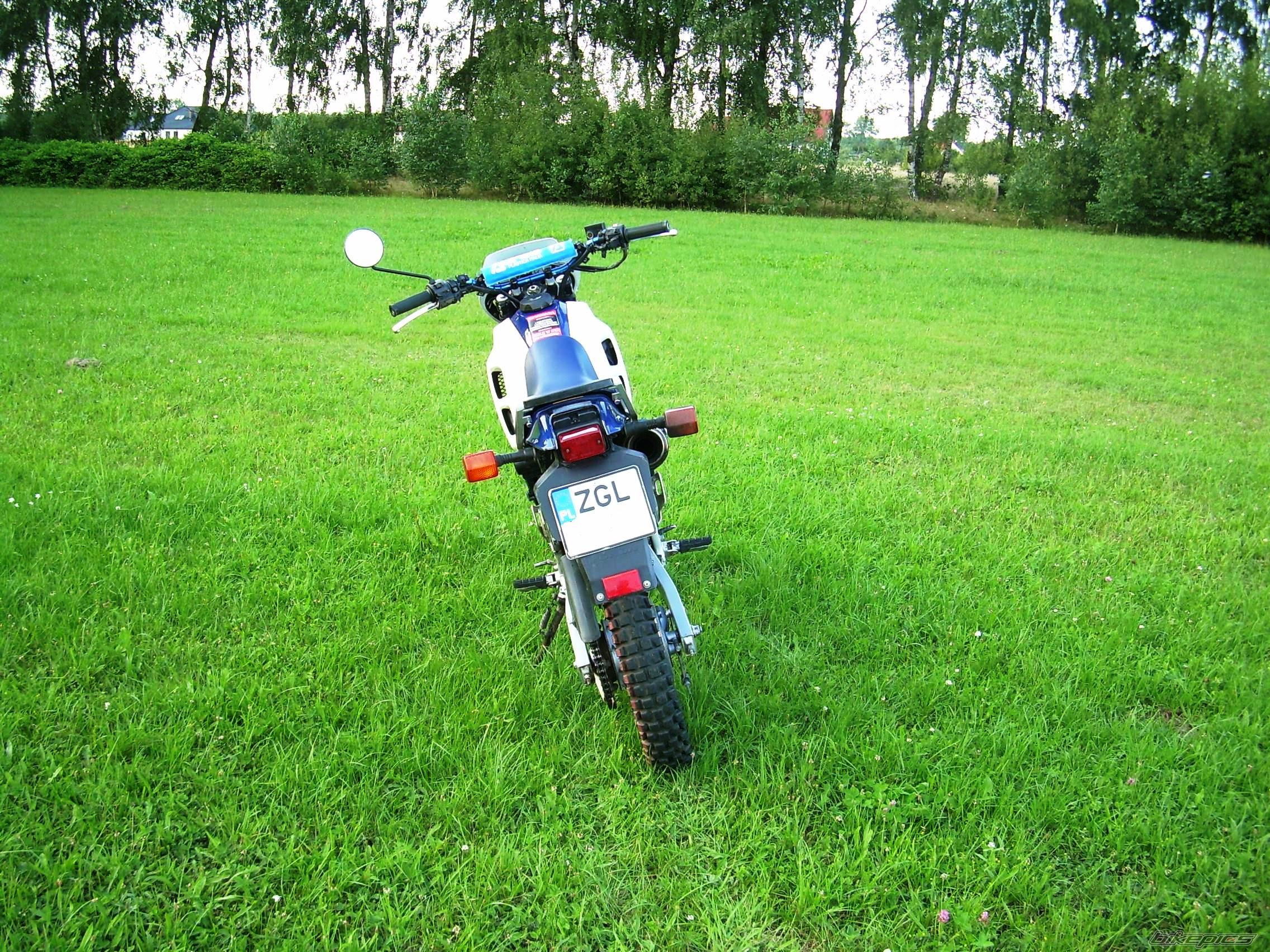 1989 HONDA NX 250 | Picture 2036310 motorcycle photo