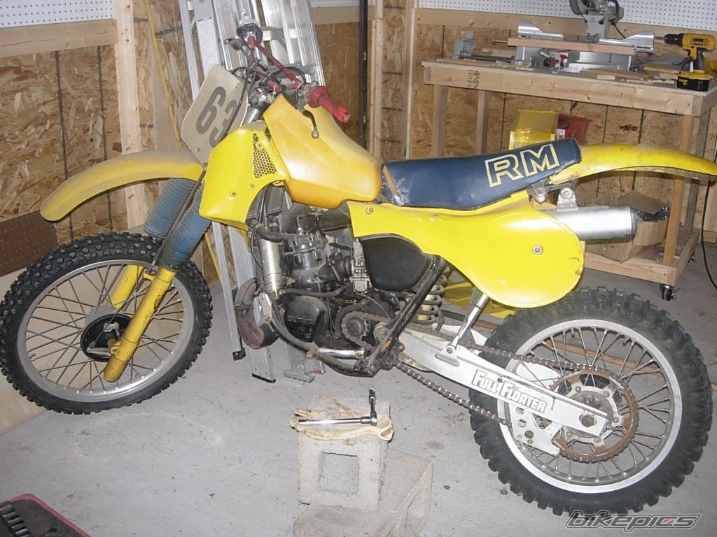 1983 SUZUKI RM 250 | Picture 2036411 motorcycle photo