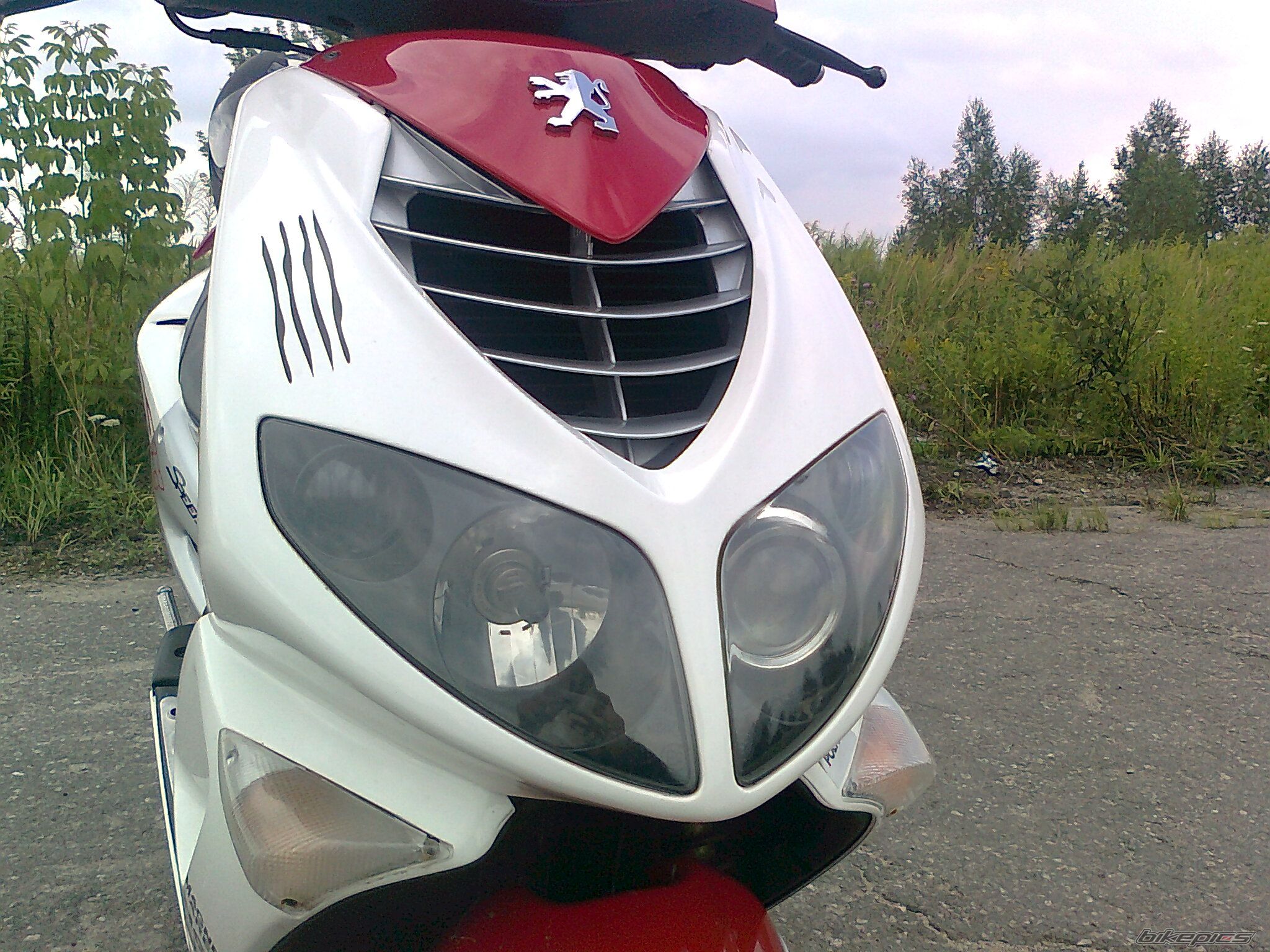 2006 PEUGEOT SPEEDFIGHT2 50 | Picture 2036909 motorcycle photo