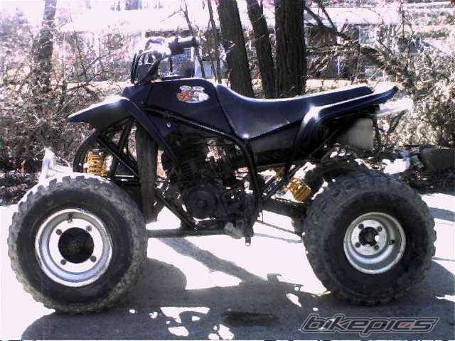 1989 YAMAHA BLASTER | Picture 20375 motorcycle photo