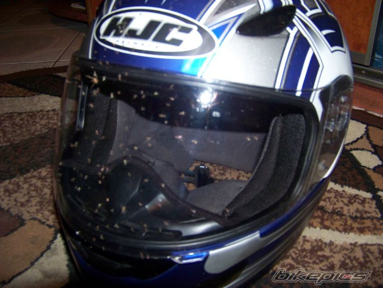   | Picture 2037604 motorcycle photo