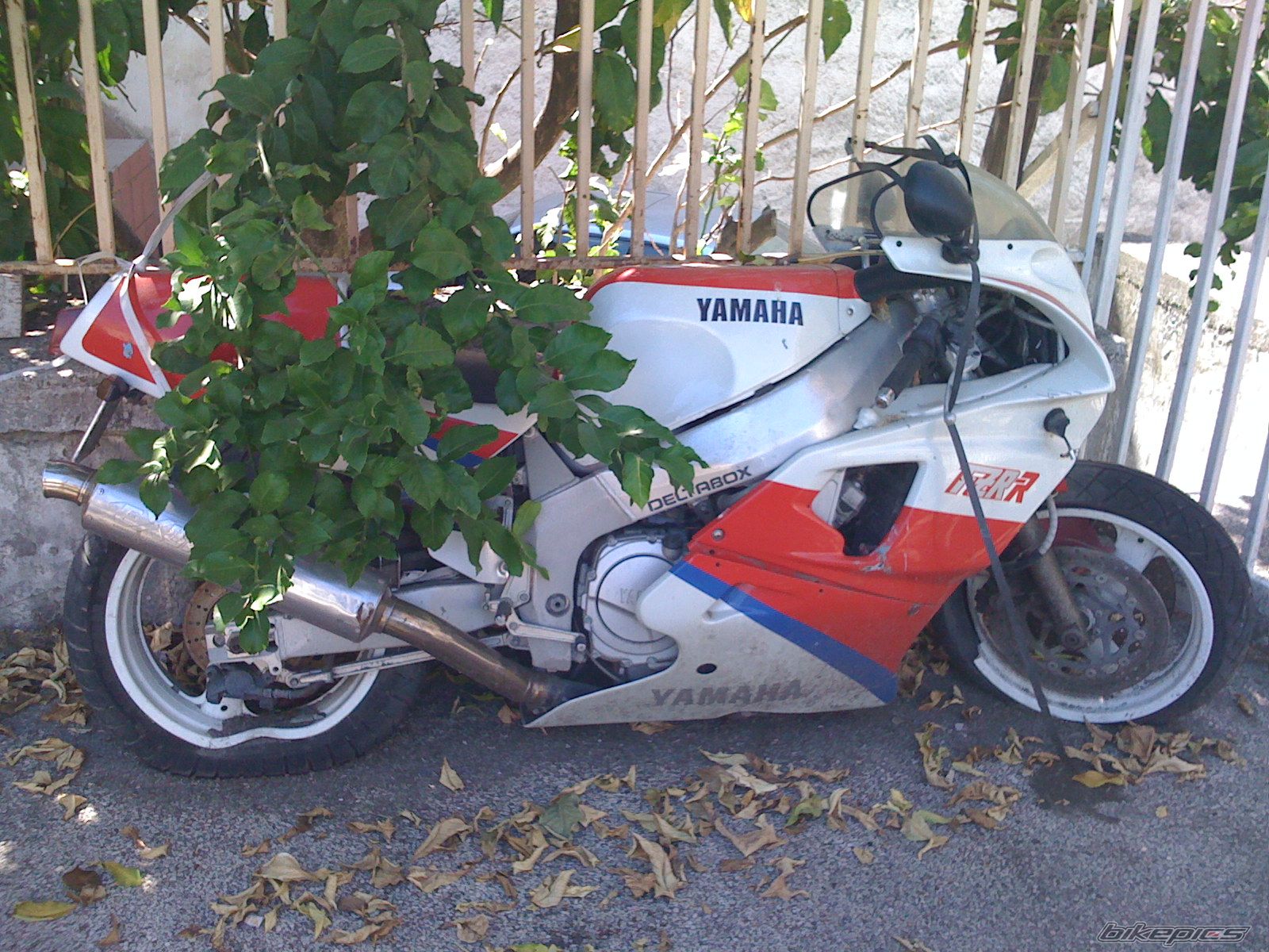 1990 YAMAHA FZR 750 R | Picture 2037832 motorcycle photo