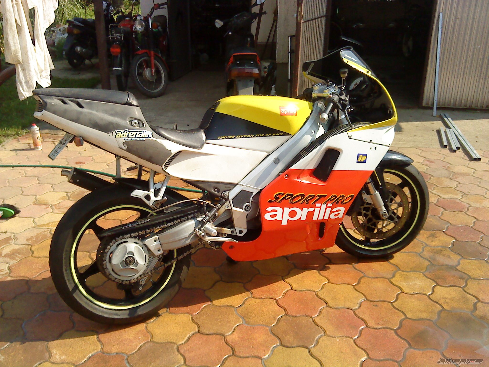 1992 APRILIA AF1 SPORT PRO 125 | Picture 2037925 motorcycle photo