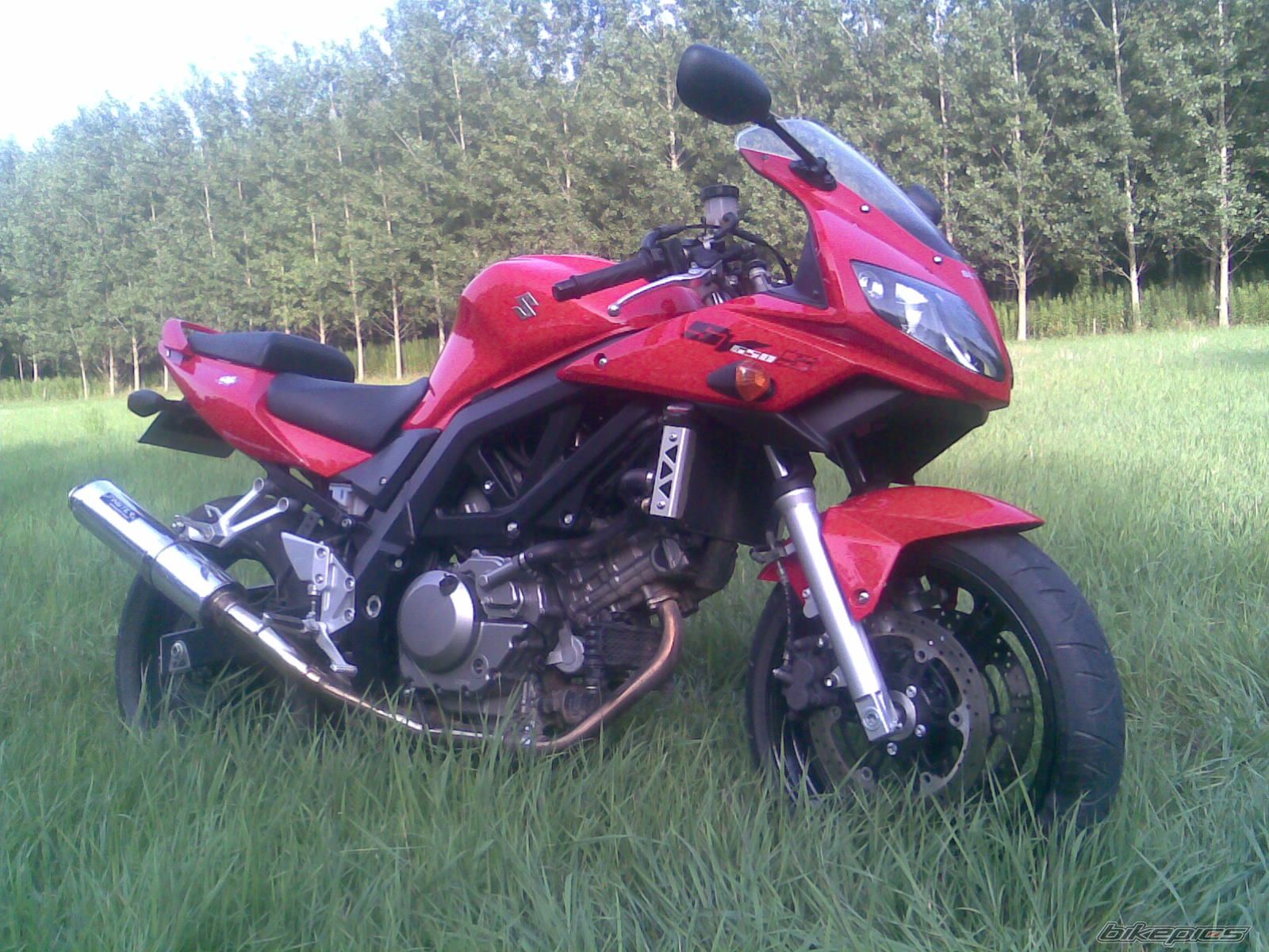 2006 SUZUKI SV 650S | Picture 2038138 motorcycle photo