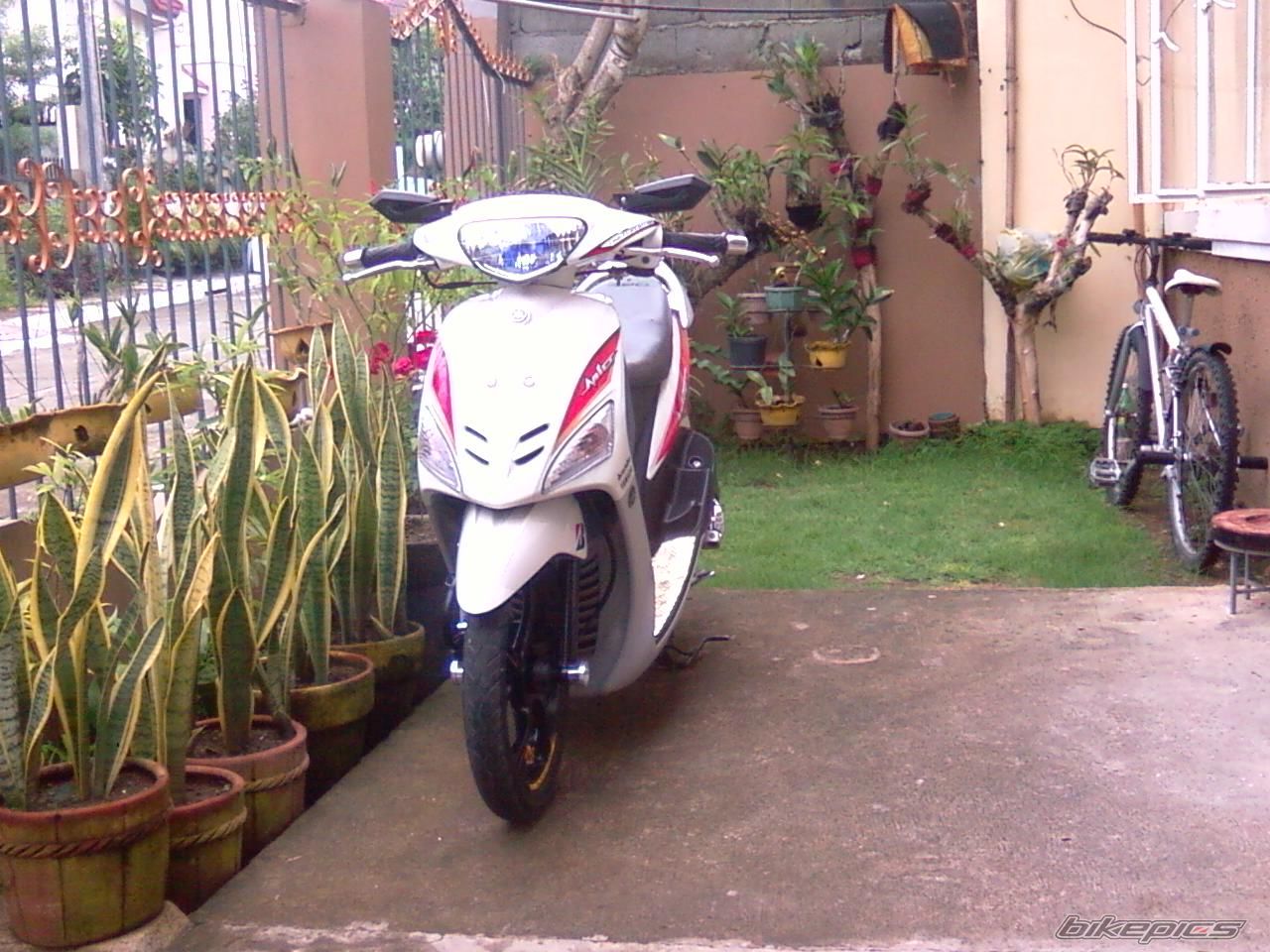 2009 YAMAHA MIO | Picture 2038442 motorcycle photo