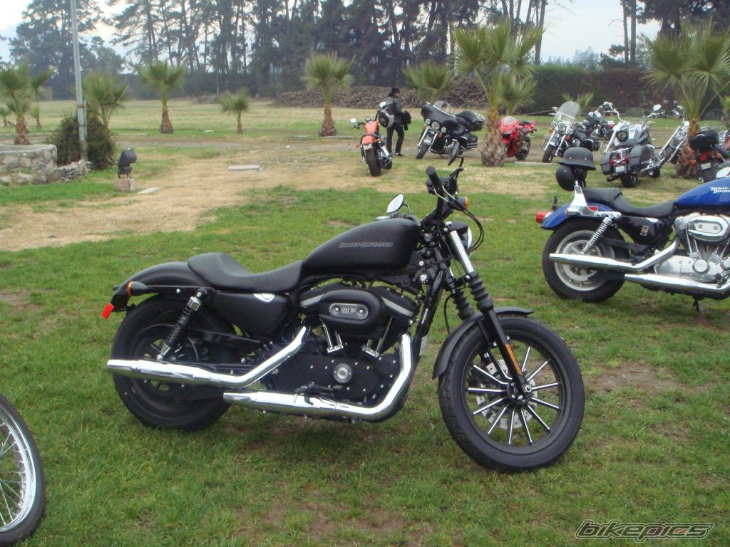 2009 HARLEY DAVIDSON XLH 883 | Picture 2038464 motorcycle photo
