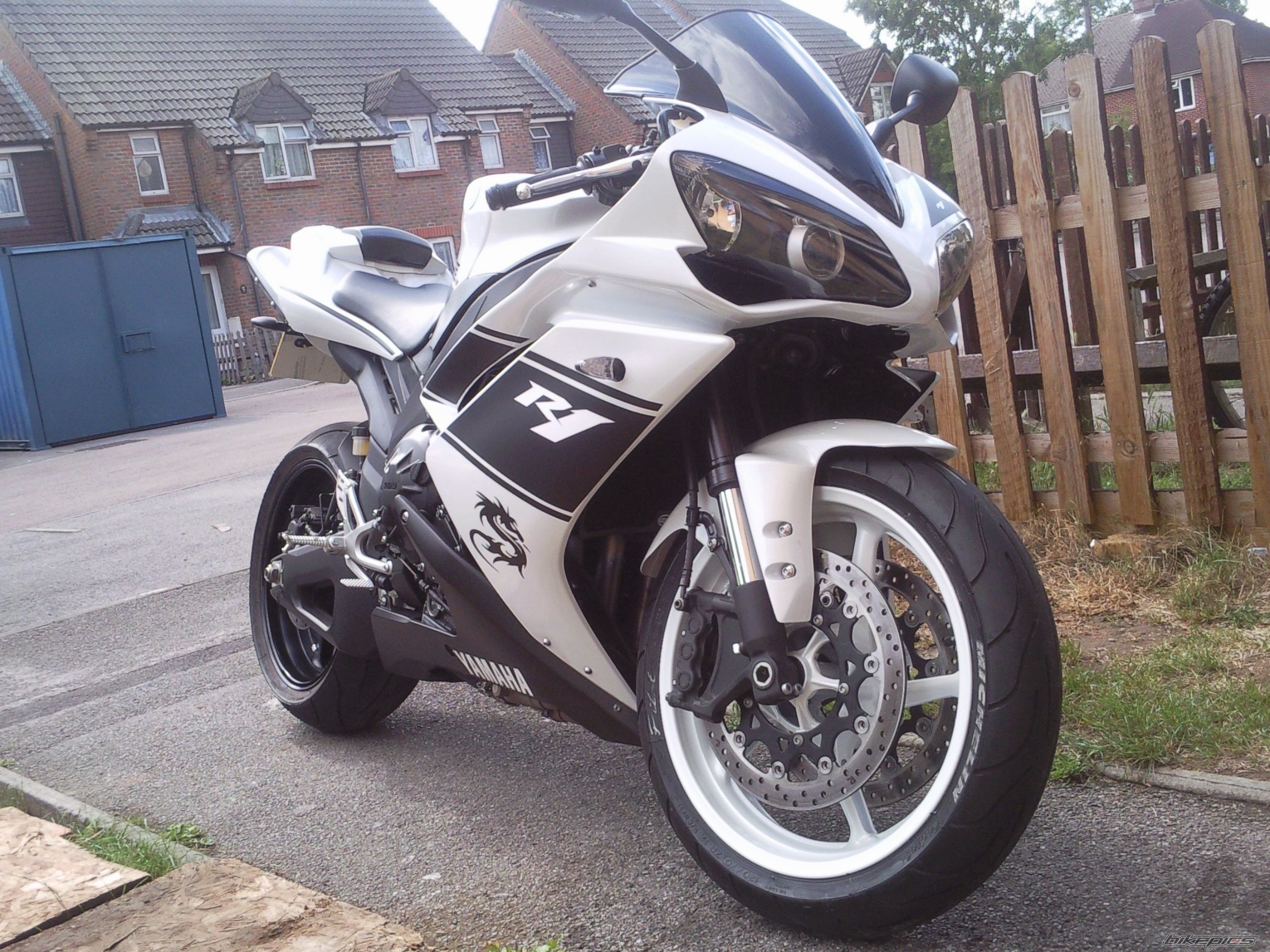 2008 YAMAHA YZF R1 | Picture 2038987 motorcycle photo