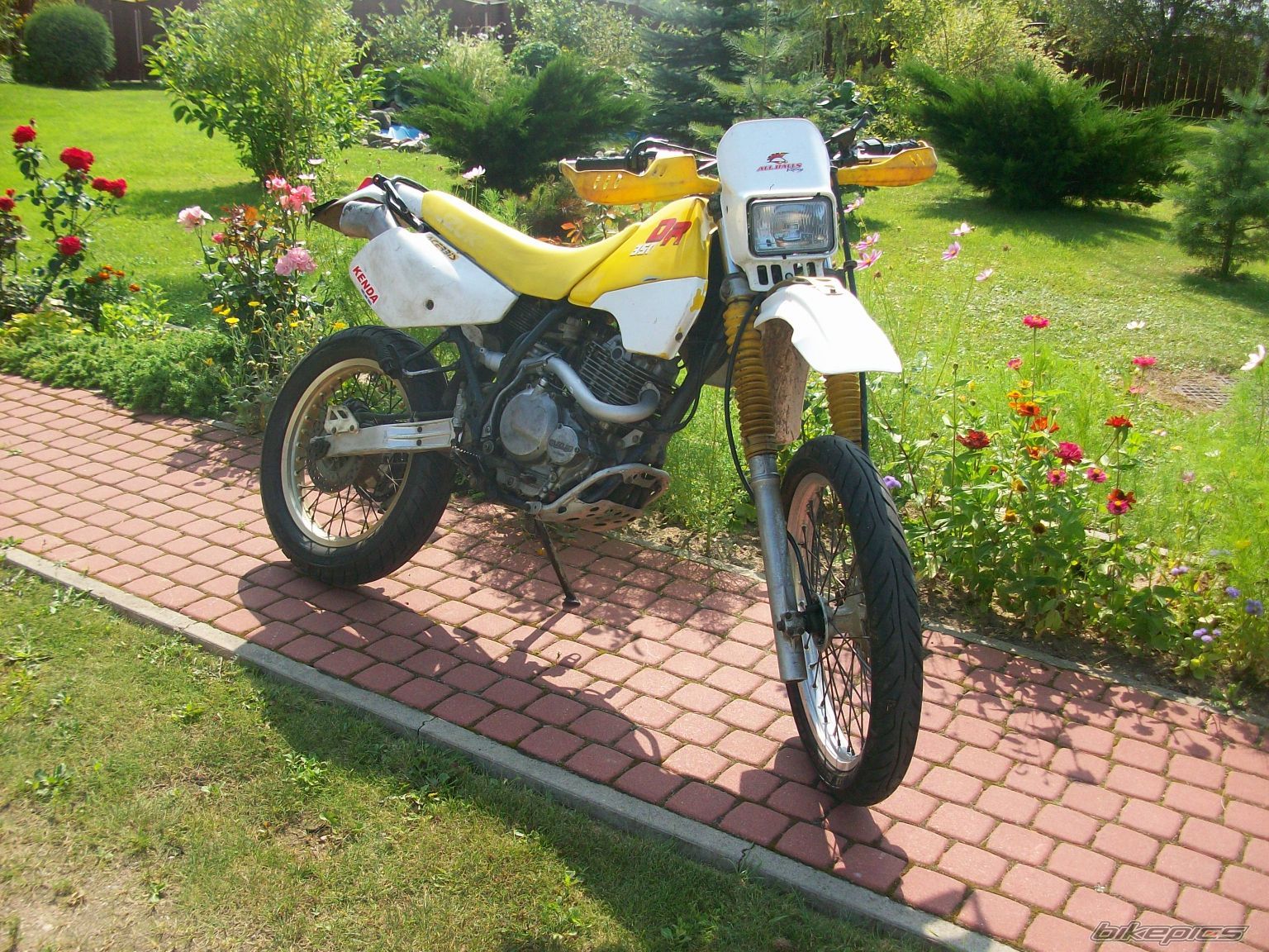 1994 SUZUKI DR 350 | Picture 2039490 motorcycle photo