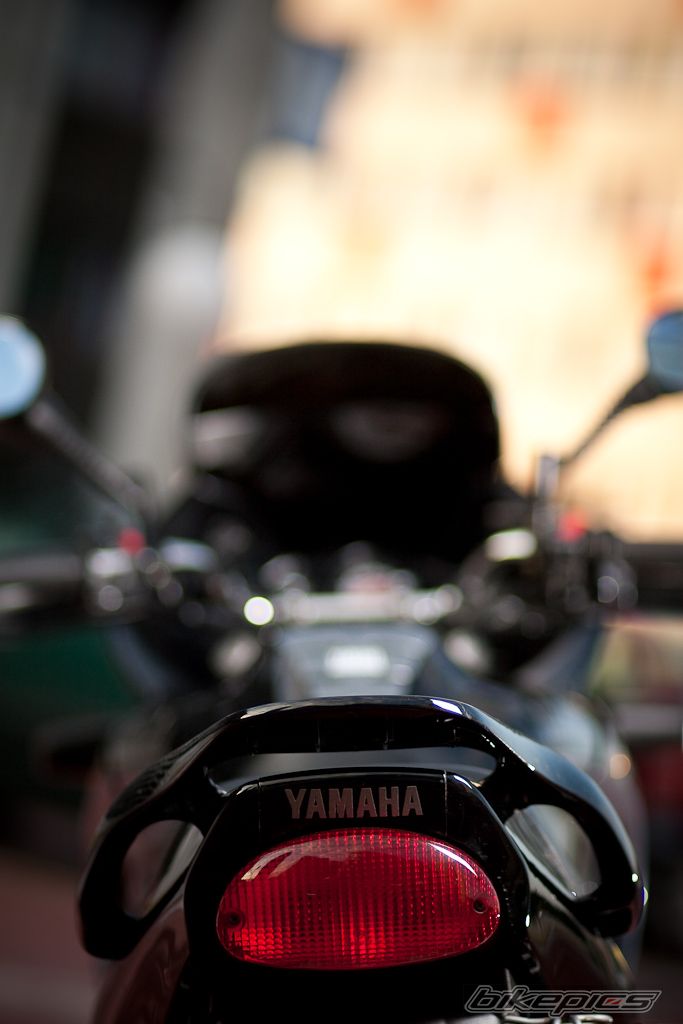 2002 YAMAHA TDM 850 | Picture 2040079 motorcycle photo