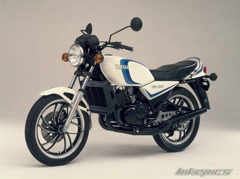 1981 YAMAHA RD 250 | Picture 2040340 motorcycle photo