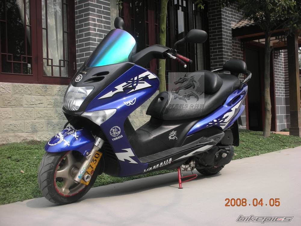 2000 YAMAHA MAJESTY 125 | Picture 2040459 motorcycle photo