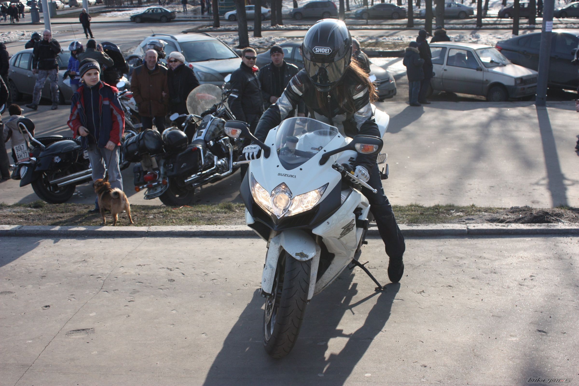 2008 SUZUKI GSX R 600 | Picture 2041007 motorcycle photo
