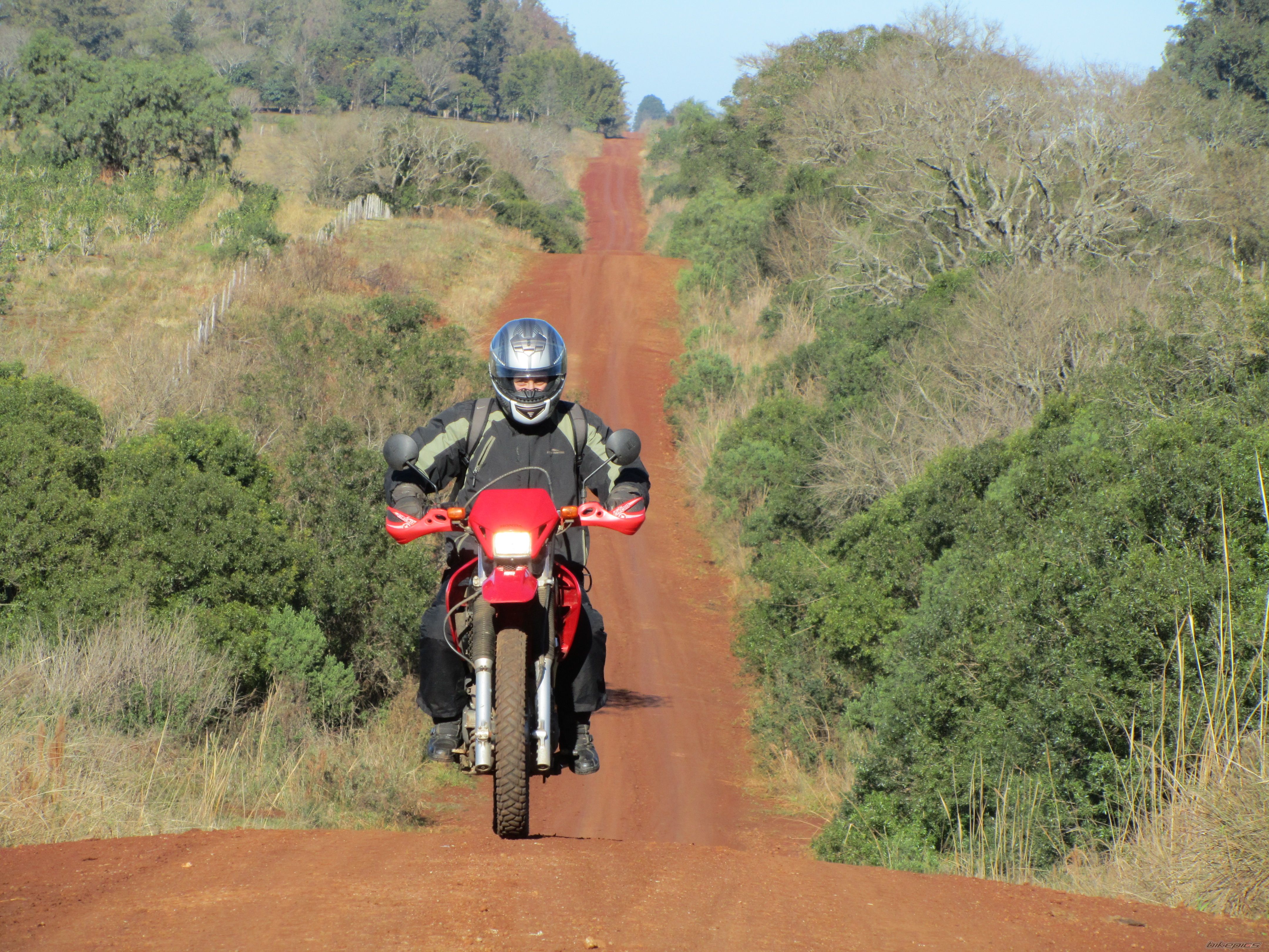 2009 HONDA XR 250 | Picture 2041108 motorcycle photo