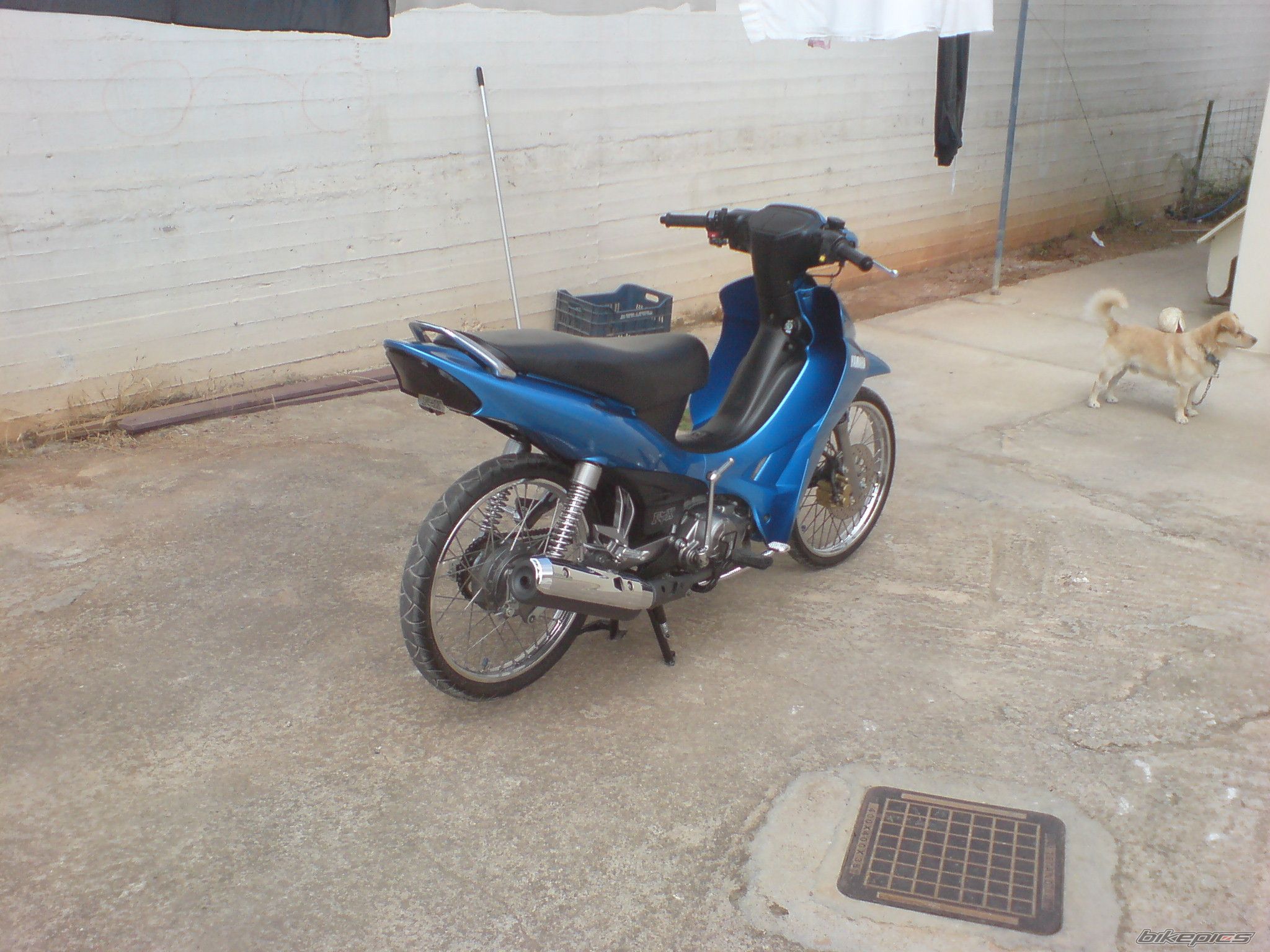 2009 YAMAHA CRYPTON R 115 | Picture 2041291 motorcycle photo