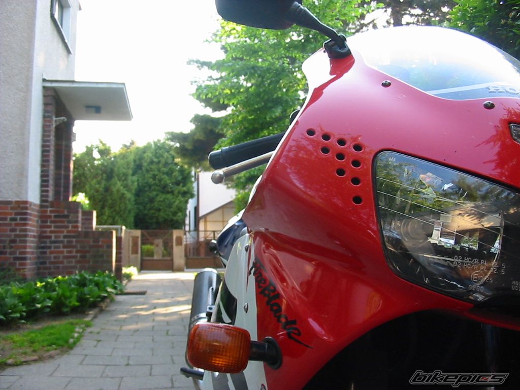 1999 HONDA CBR 900 | Picture 2041314 motorcycle photo