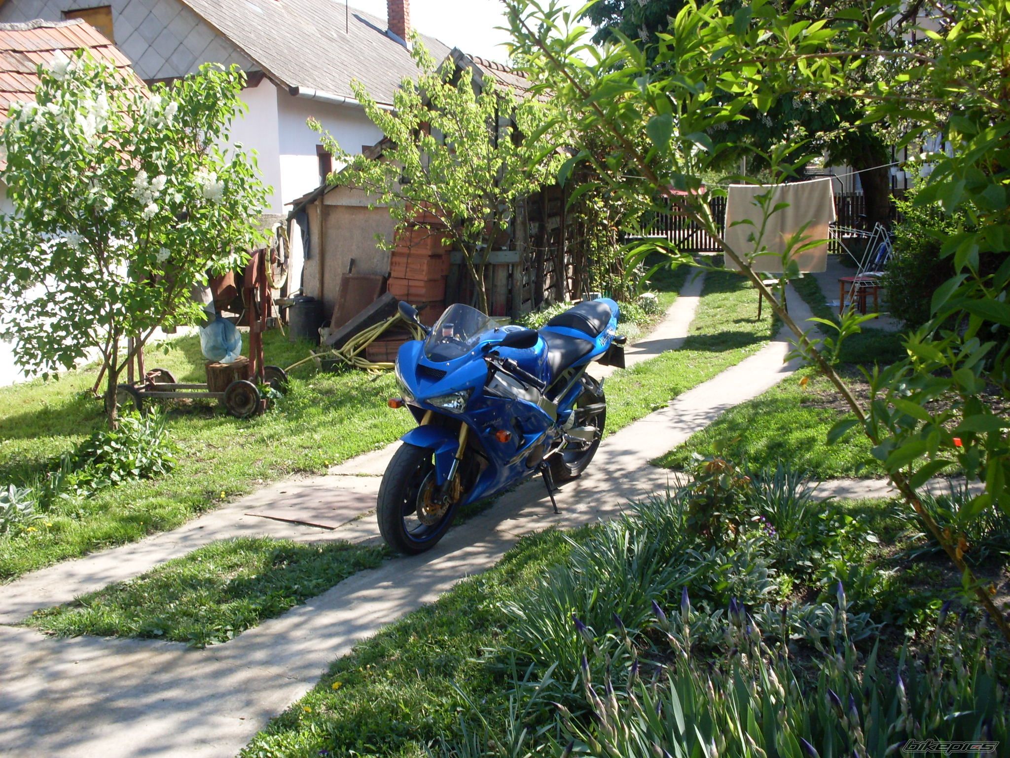 2003 KAWASAKI ZX 6R | Picture 2041641 motorcycle photo