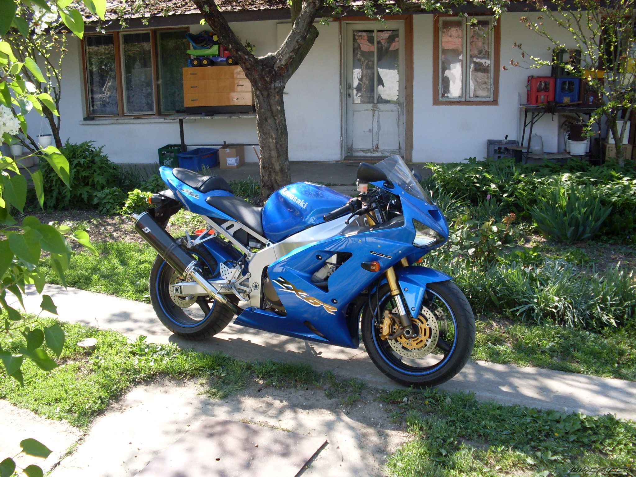 2003 KAWASAKI ZX 6R | Picture 2041642 motorcycle photo