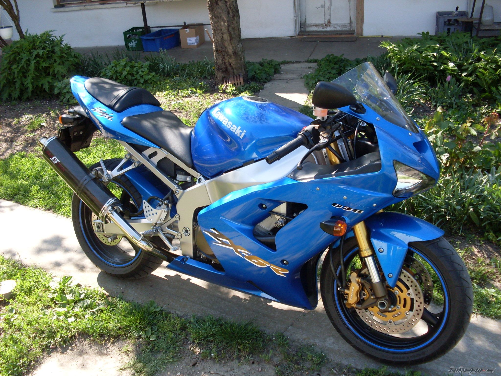 2003 KAWASAKI ZX 6R | Picture 2041643 motorcycle photo