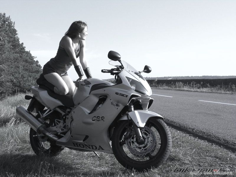 2005 HONDA CBR 1000  RR | Picture 2042121 motorcycle photo