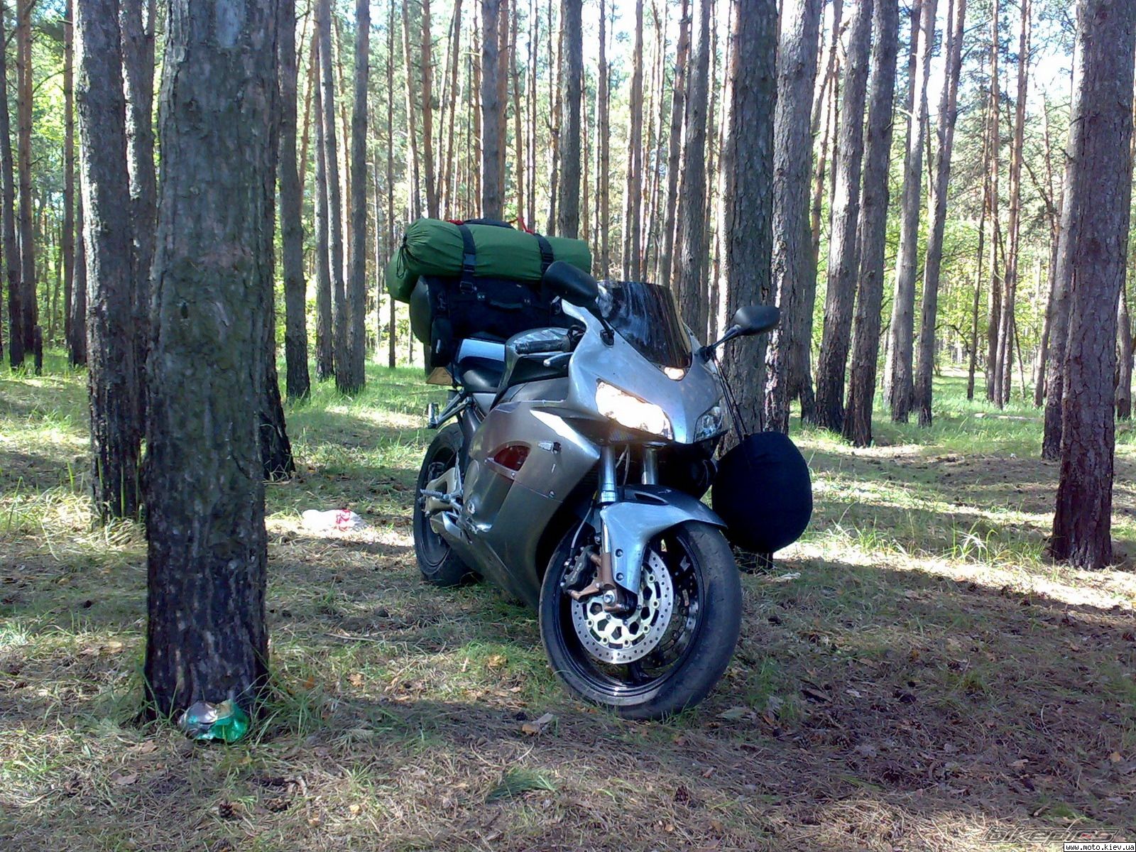 2005 HONDA CBR 1000  RR | Picture 2042123 motorcycle photo