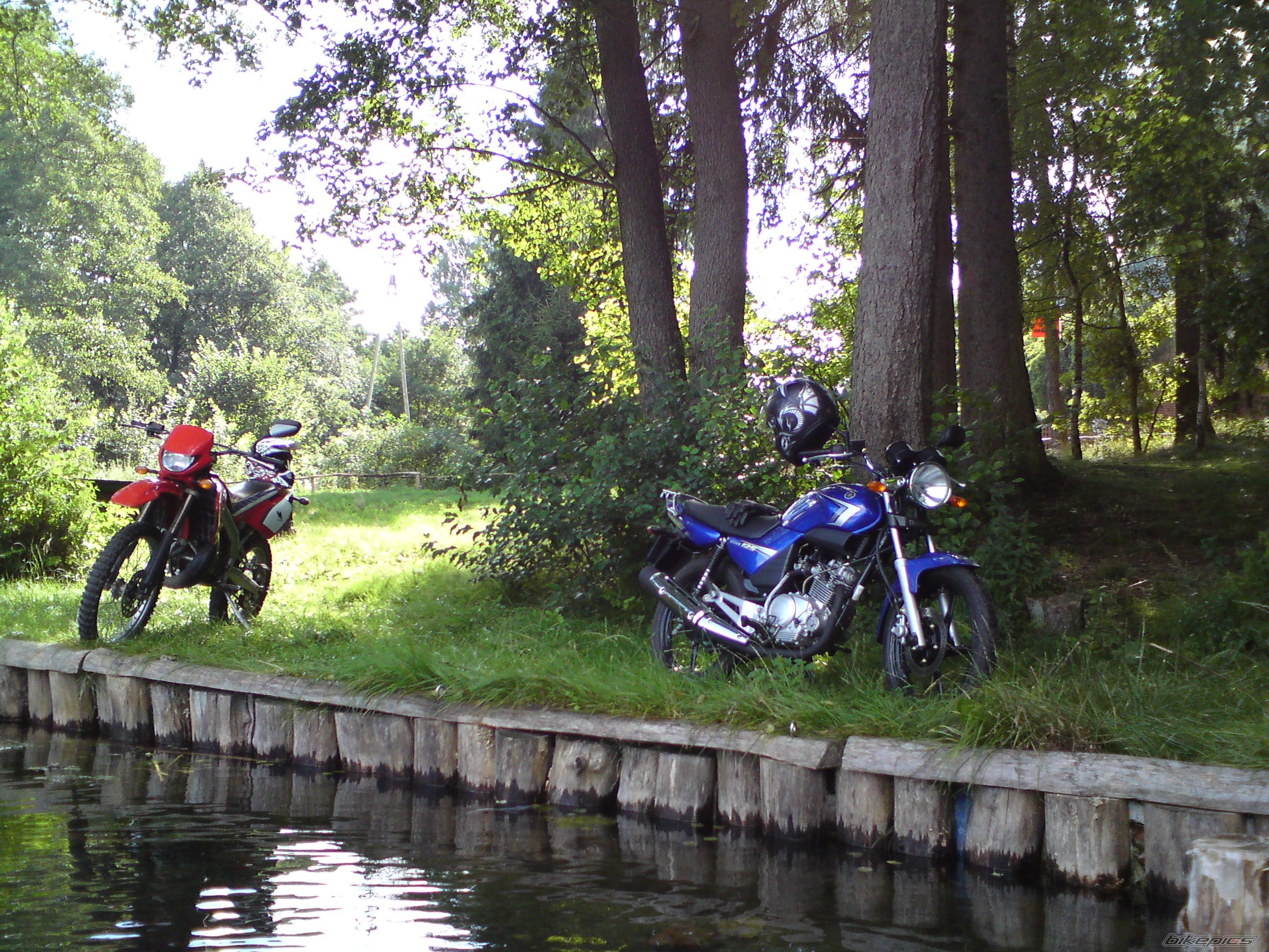 2000 DERBI SENDA X TREME R 50 | Picture 2042816 motorcycle photo
