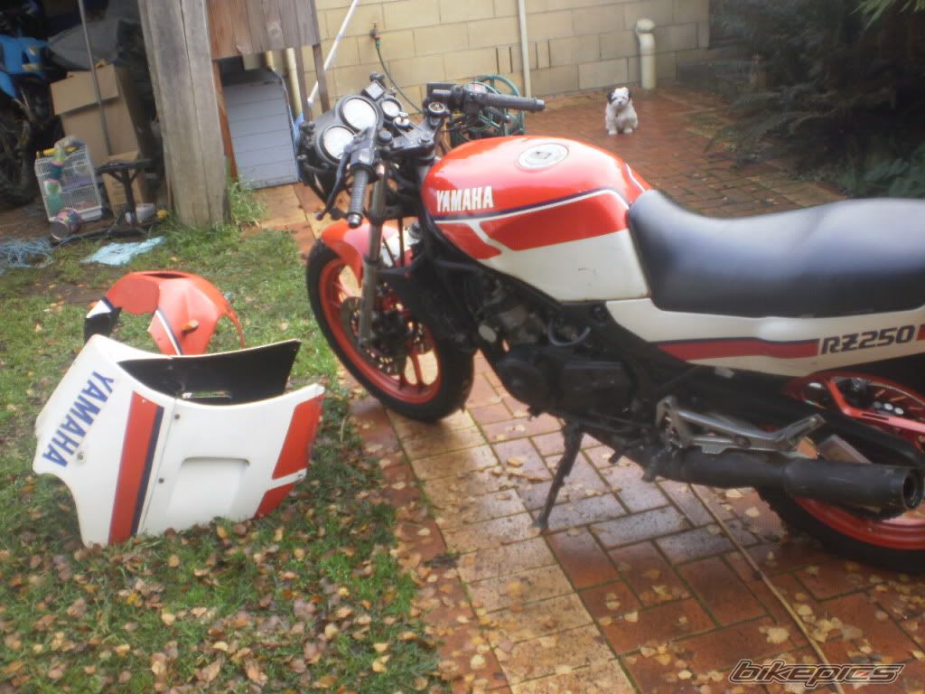 1986 YAMAHA RZ 250 | Picture 2043179 motorcycle photo