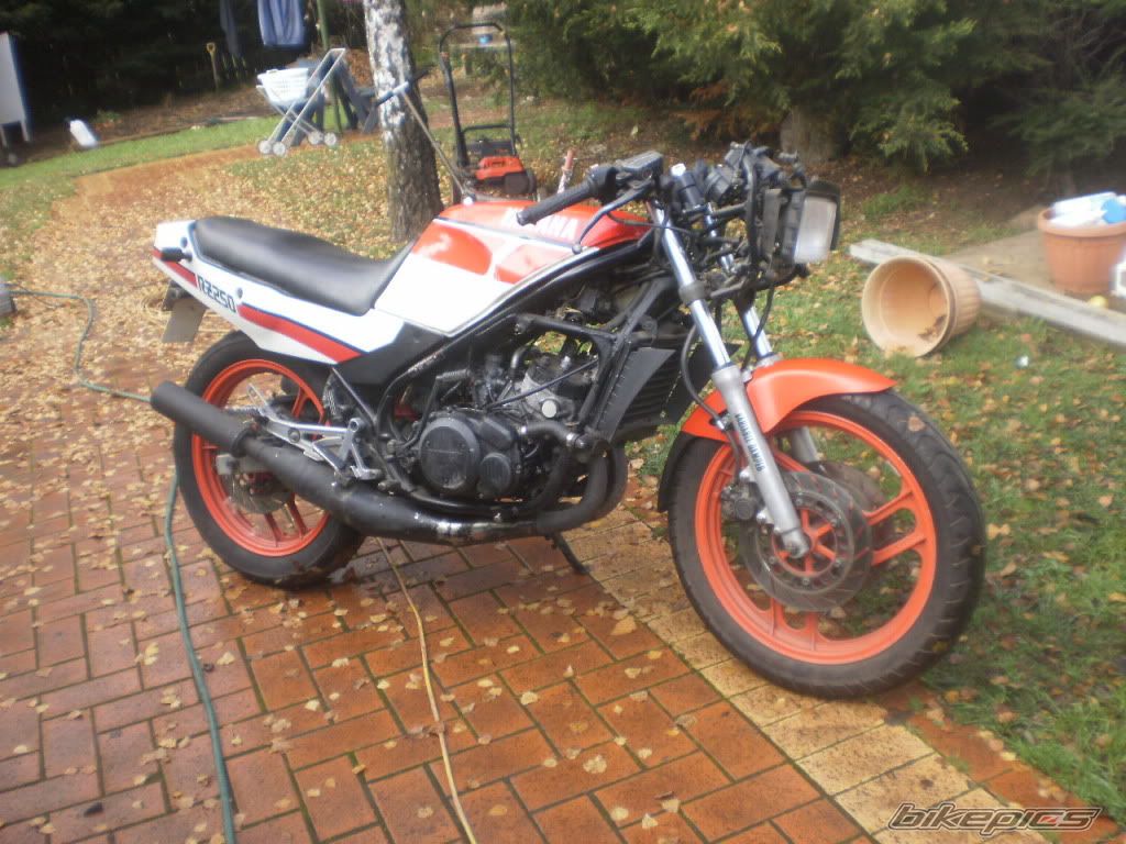 1986 YAMAHA RZ 250 | Picture 2043180 motorcycle photo