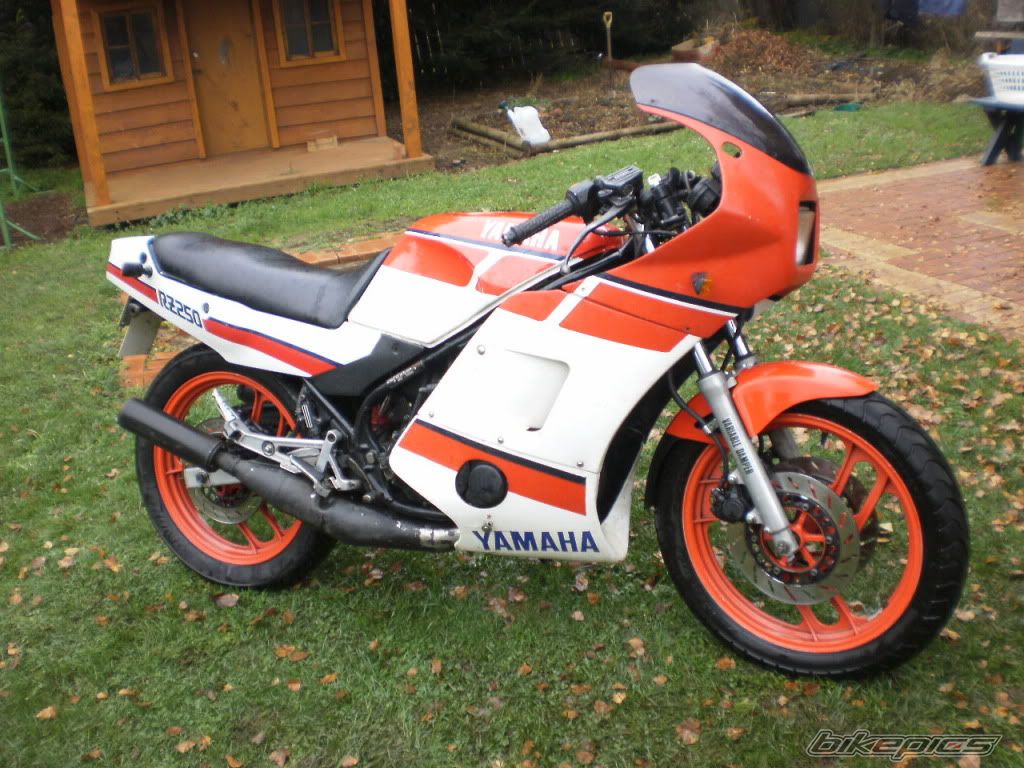 1986 YAMAHA RZ 250 | Picture 2043183 motorcycle photo