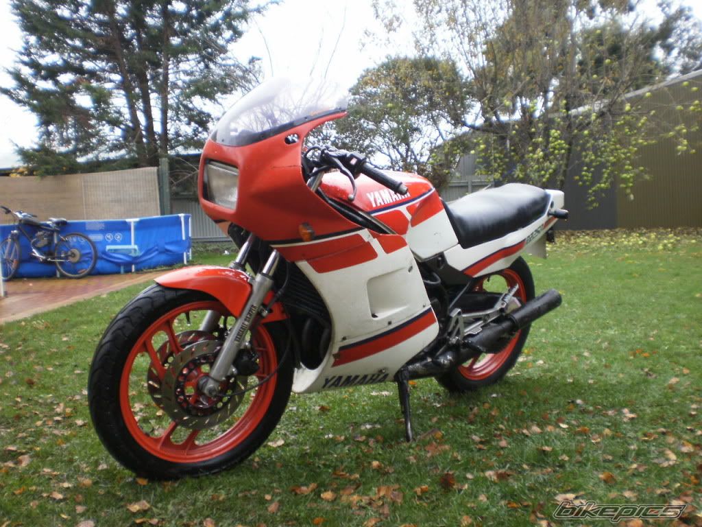 1986 YAMAHA RZ 250 | Picture 2043184 motorcycle photo