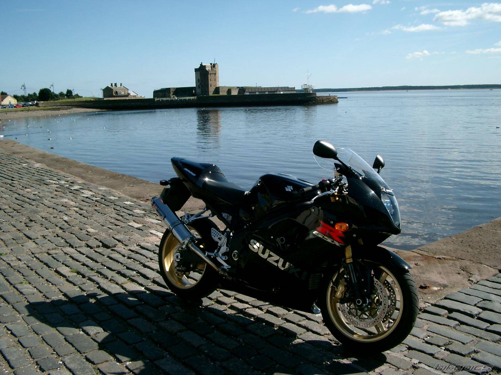 2004 SUZUKI GSX R 1000 | Picture 204337 motorcycle photo
