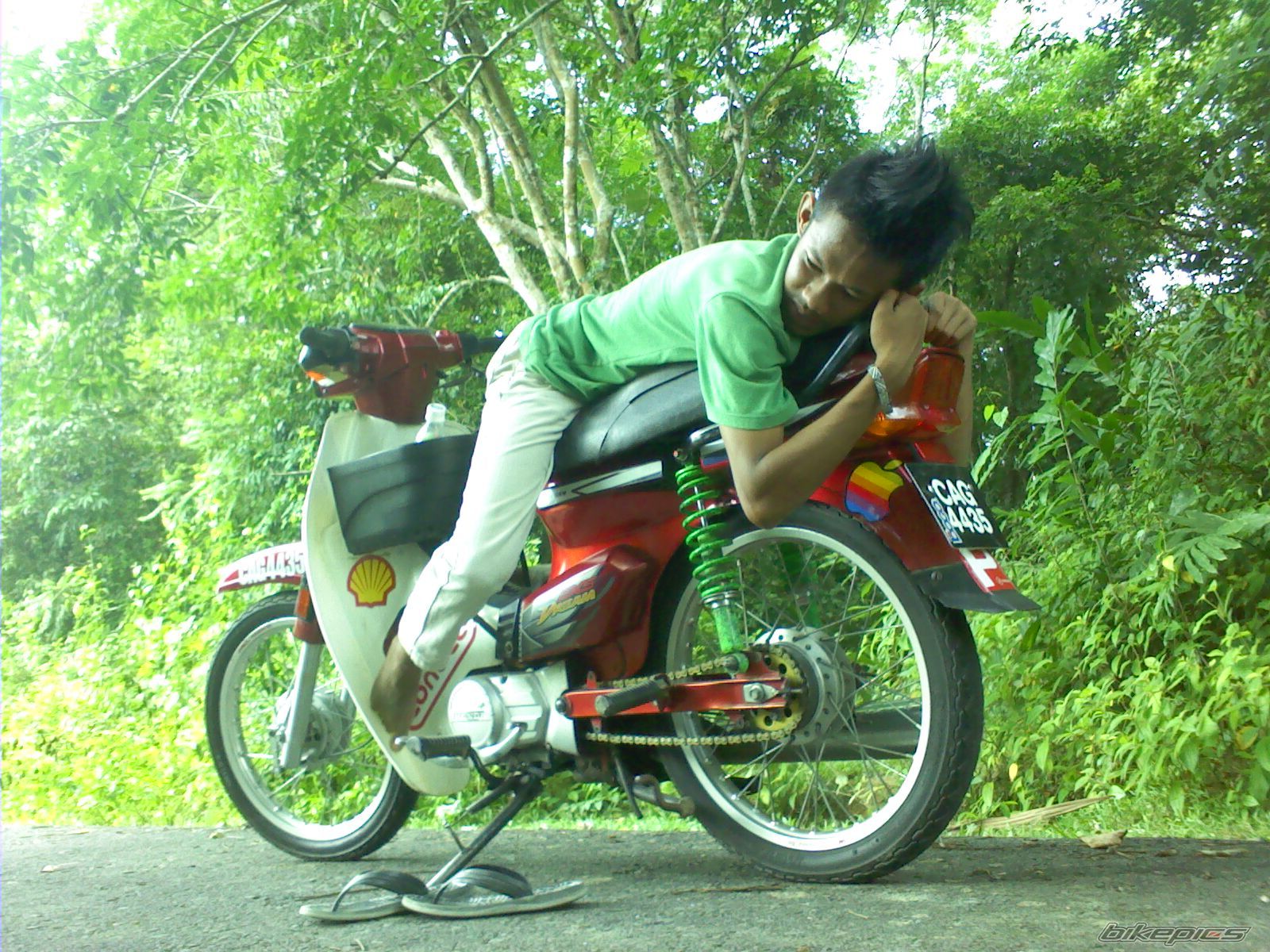 2010 HONDA HONDA EX5 | Picture 2043601 motorcycle photo