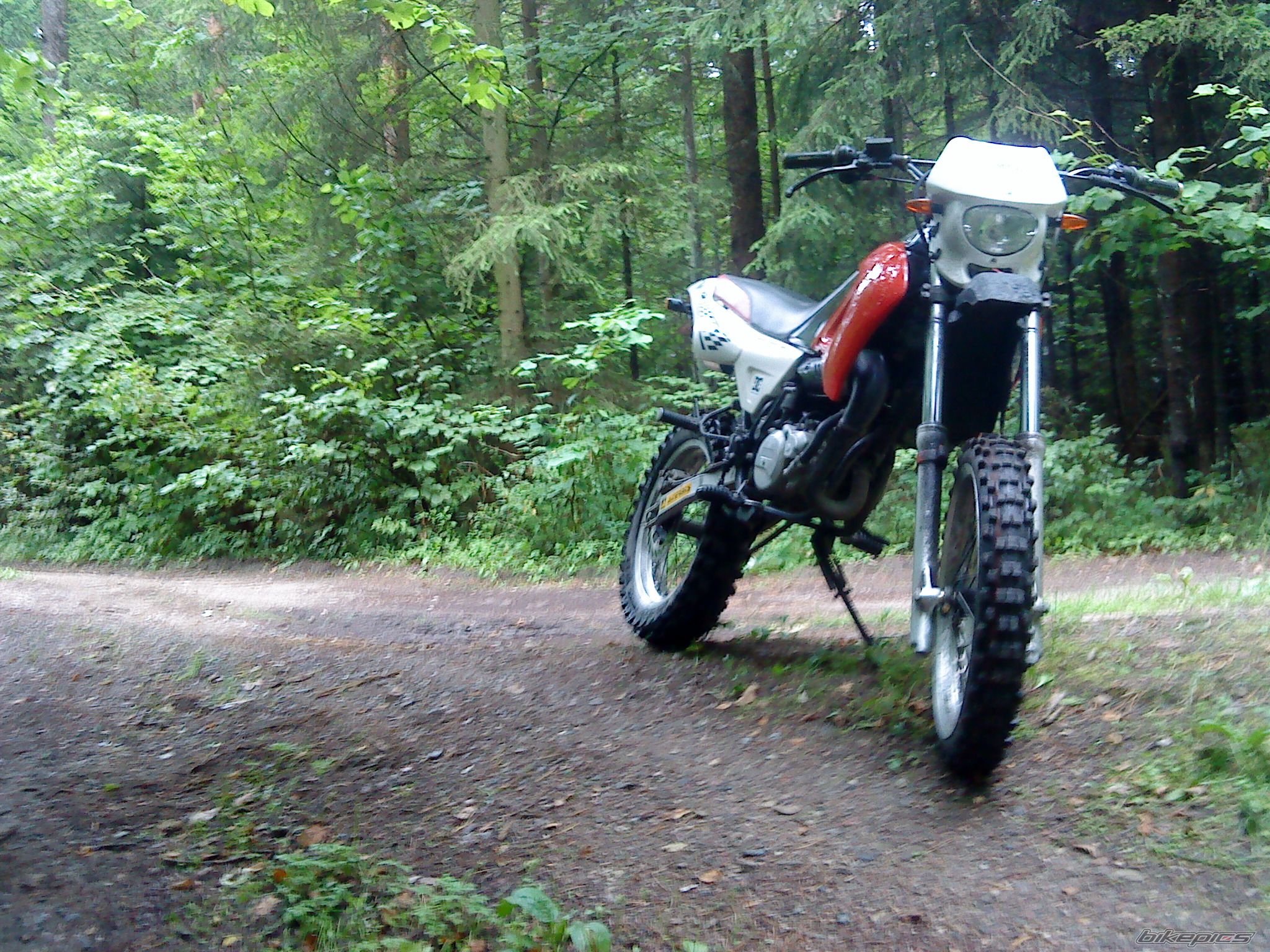 2002 YAMAHA DT 50 | Picture 2043964 motorcycle photo