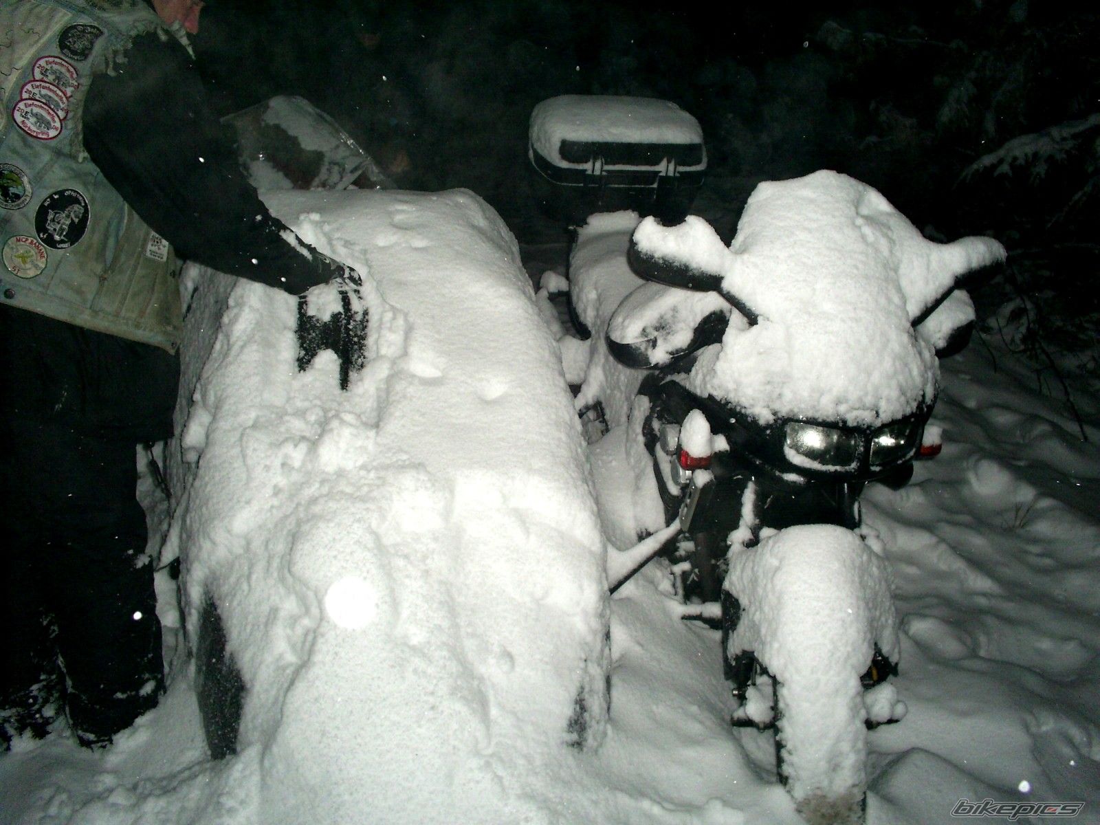1998 YAMAHA FZS 600 FAZER | Picture 2043974 motorcycle photo