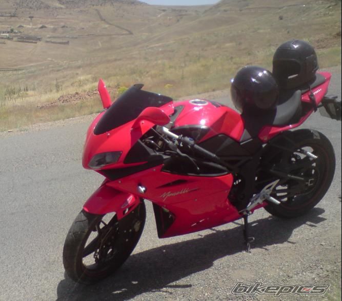 2010 DUCATI 1098 | Picture 2045132 motorcycle photo