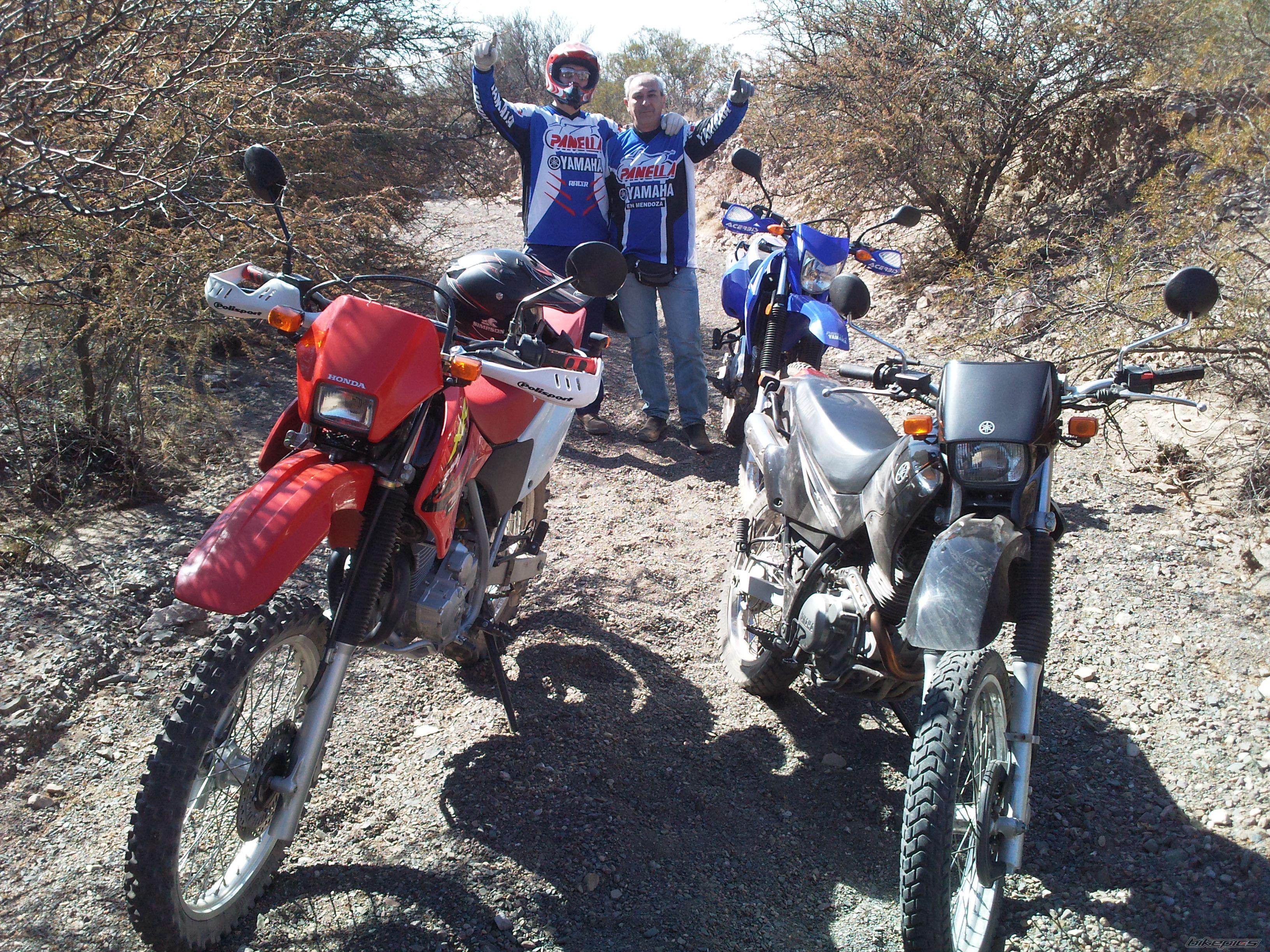 2005 HONDA XR 250 | Picture 2045963 motorcycle photo