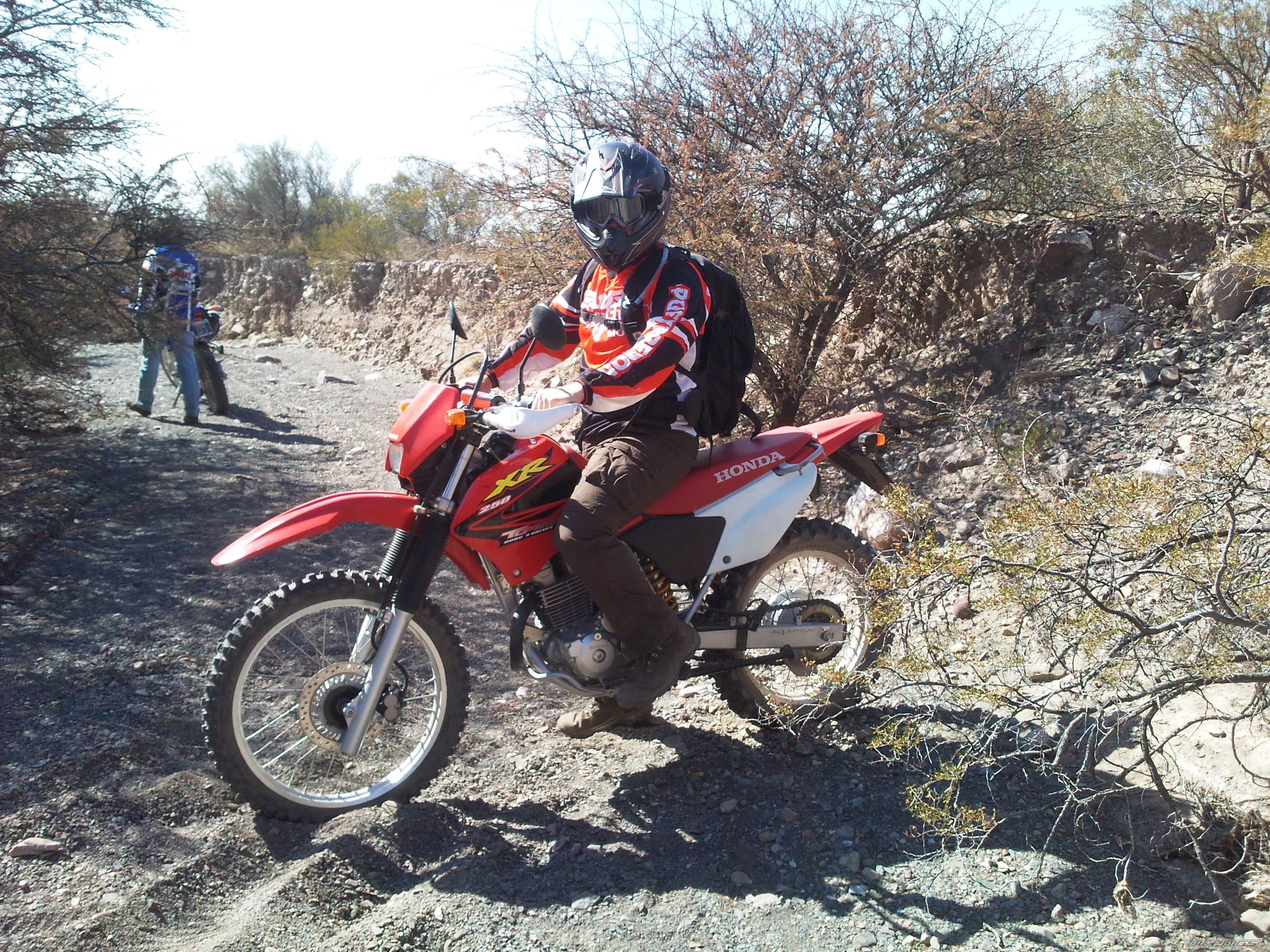 2005 HONDA XR 250 | Picture 2045966 motorcycle photo