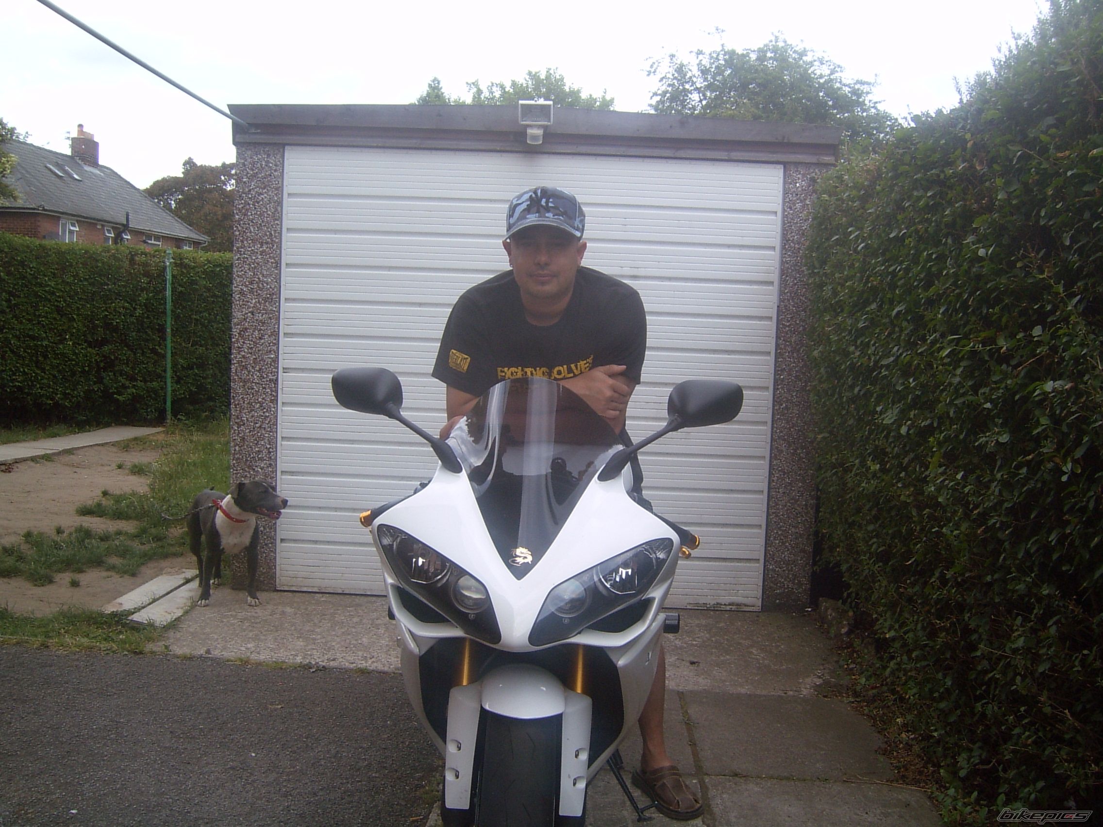 2008 YAMAHA YZF R1 | Picture 2046789 motorcycle photo