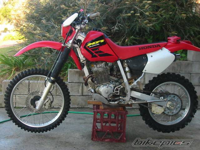 2002 HONDA XR 250 | Picture 204681 motorcycle photo
